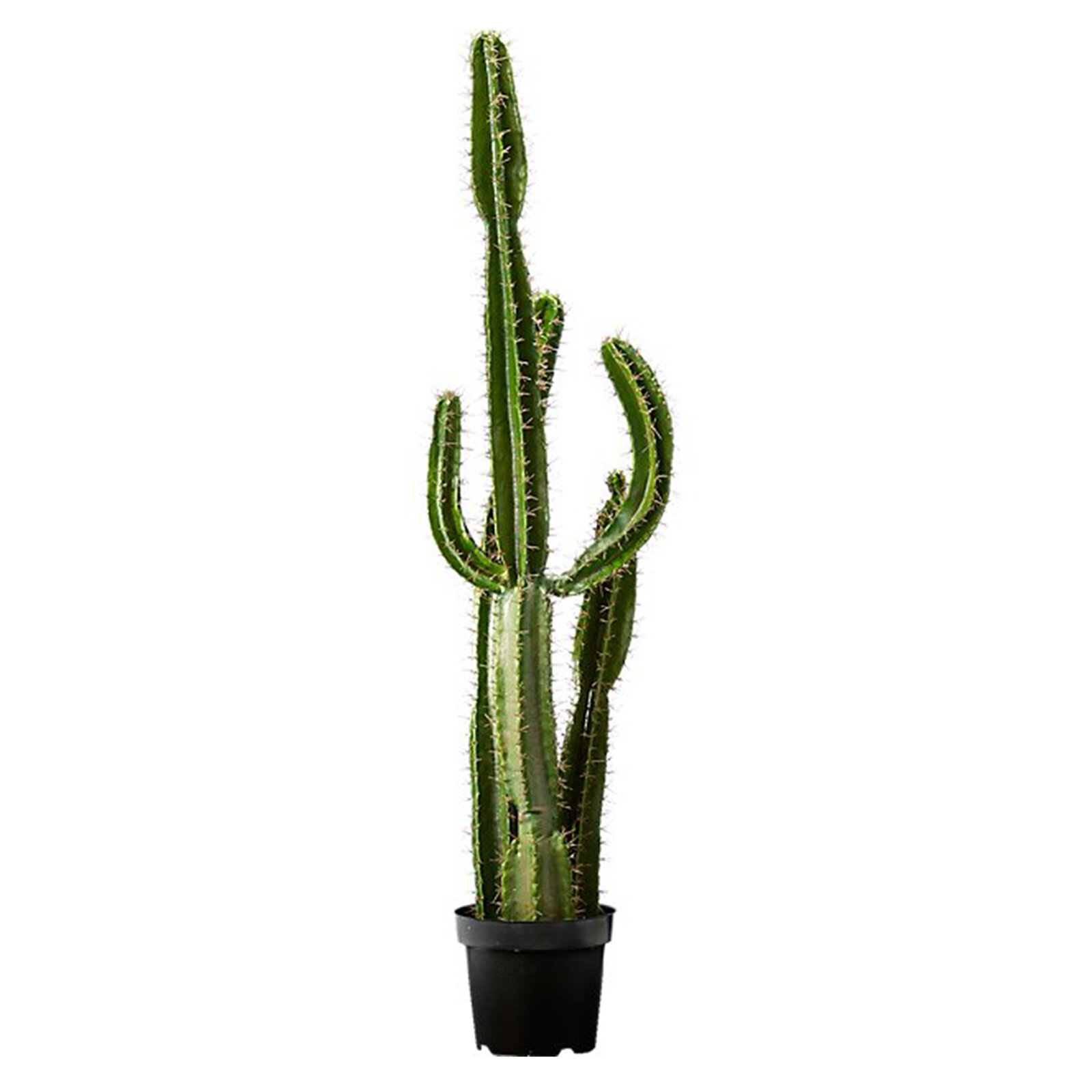 Potted Faux Cactus, Cb2, $299