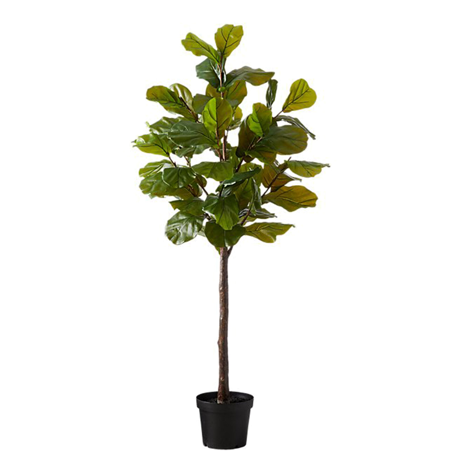 Faux Potted Fiddle Leaf Fig, Cb2, $399