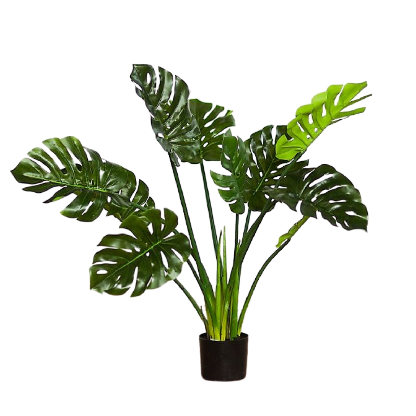 Faux Philodendron, Anthropologie, $338