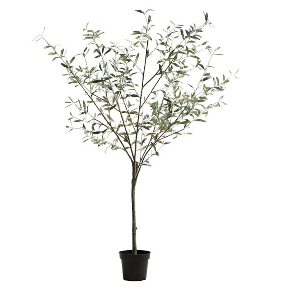 Faux Potted Olive Tree, Pottery Barn, $399