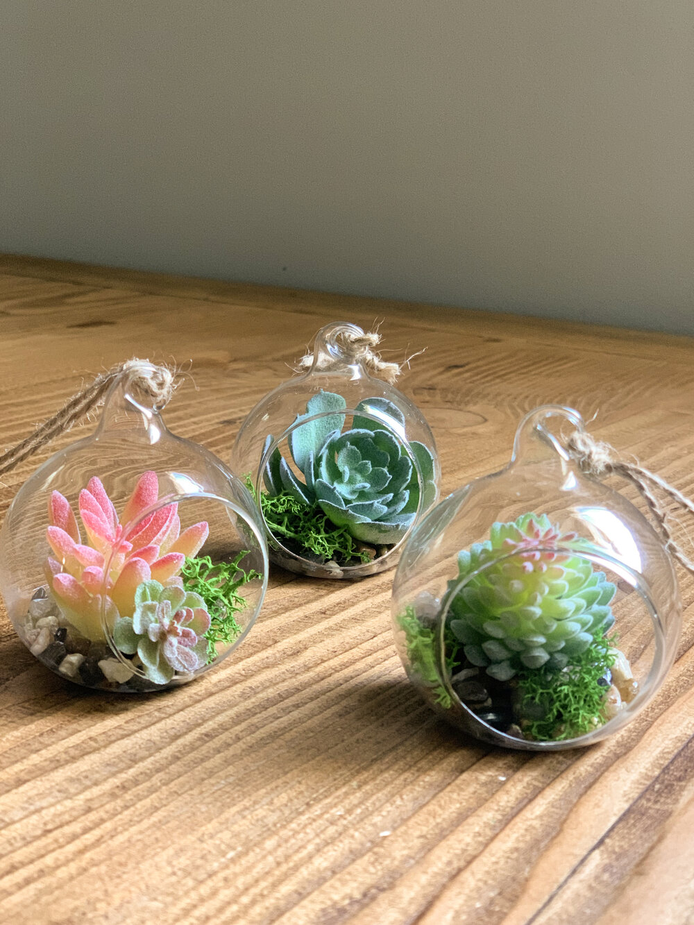 DIY: Faux Succulent Mini Hanging Terrariums  Blog  Design Confetti