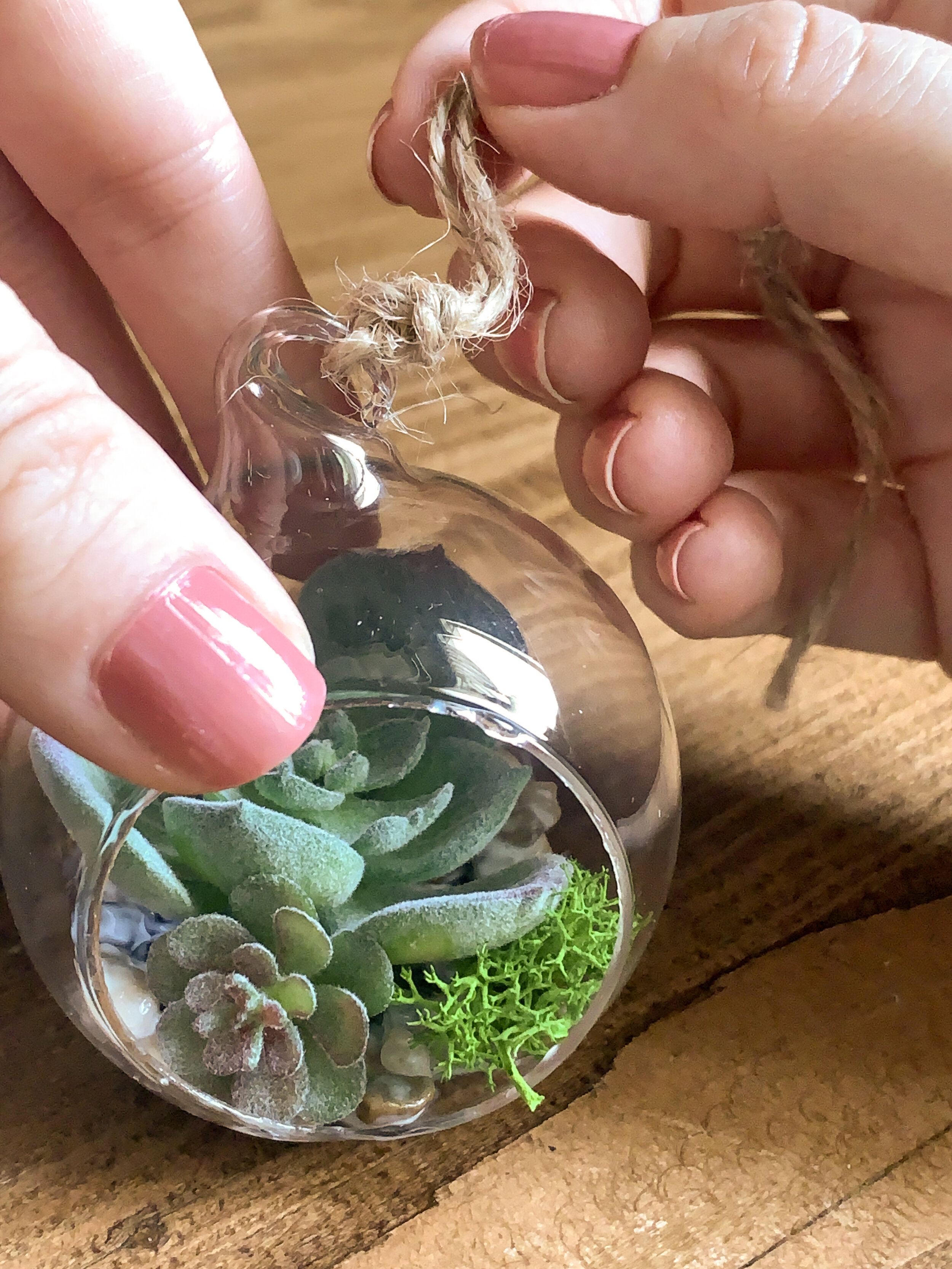 mini_faux_succulent_terrarium_-24.jpg