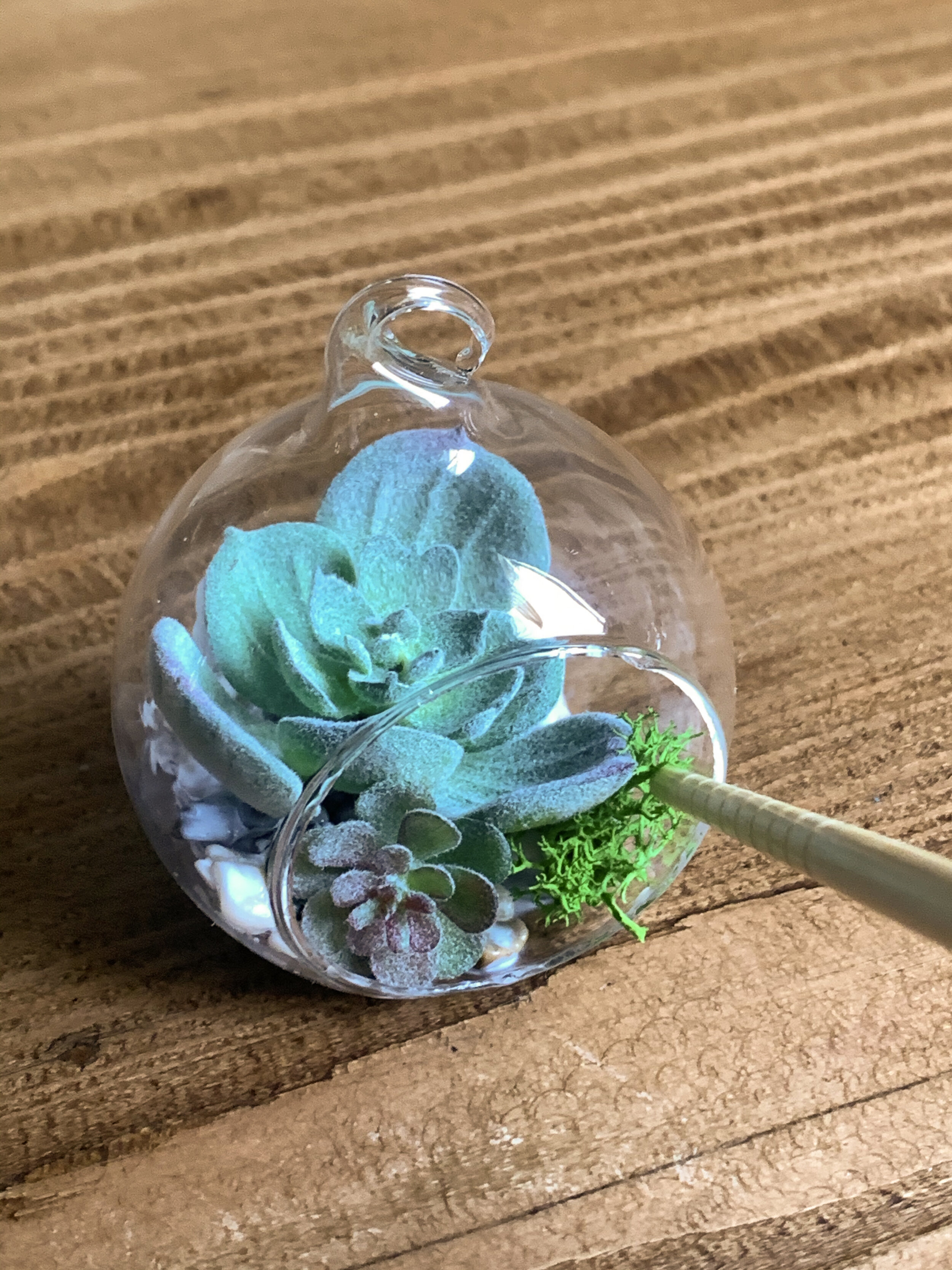 mini_faux_succulent_terrarium_-22.jpg