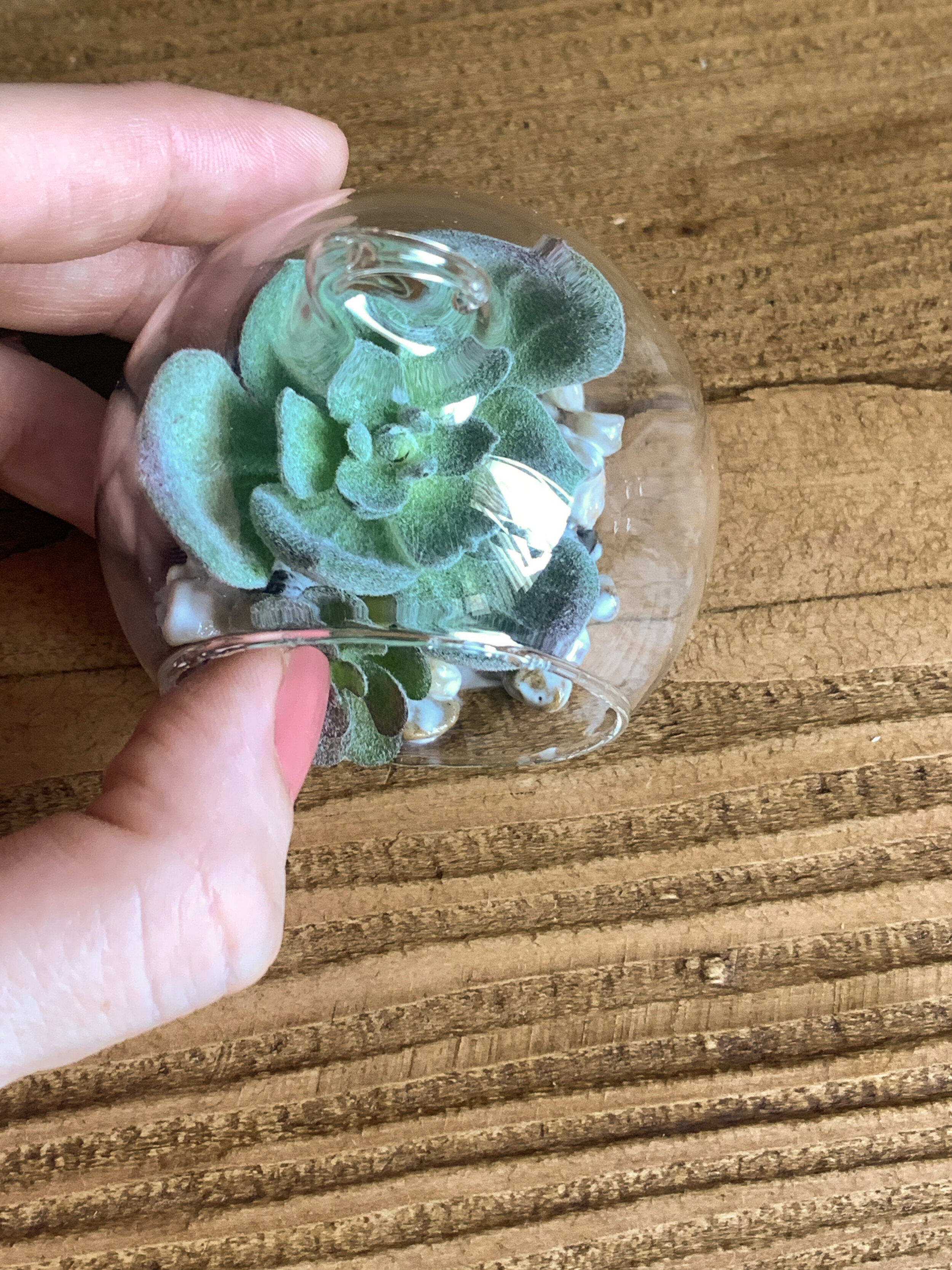 mini_faux_succulent_terrarium_-20.jpg