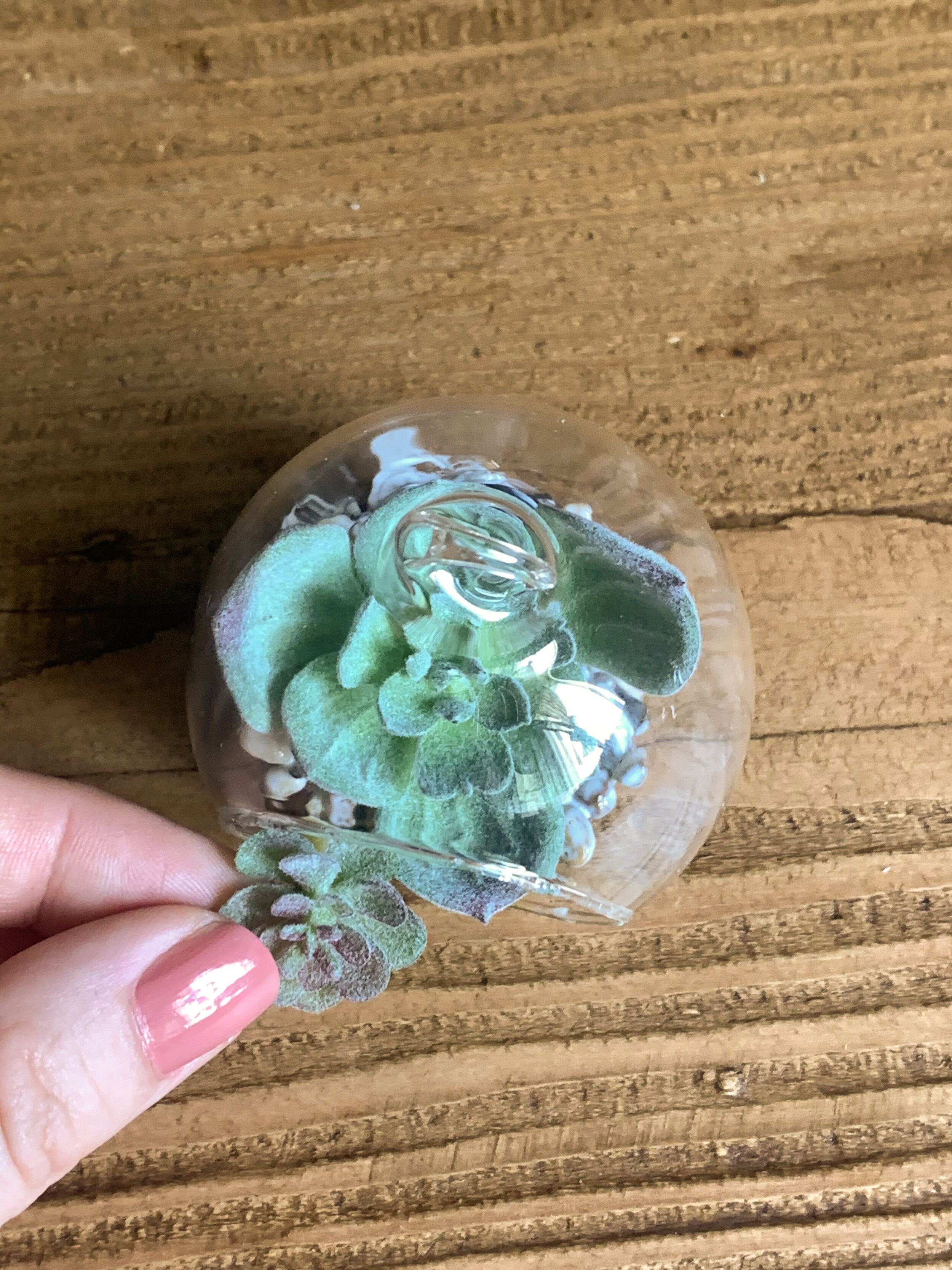 mini_faux_succulent_terrarium_-19.jpg