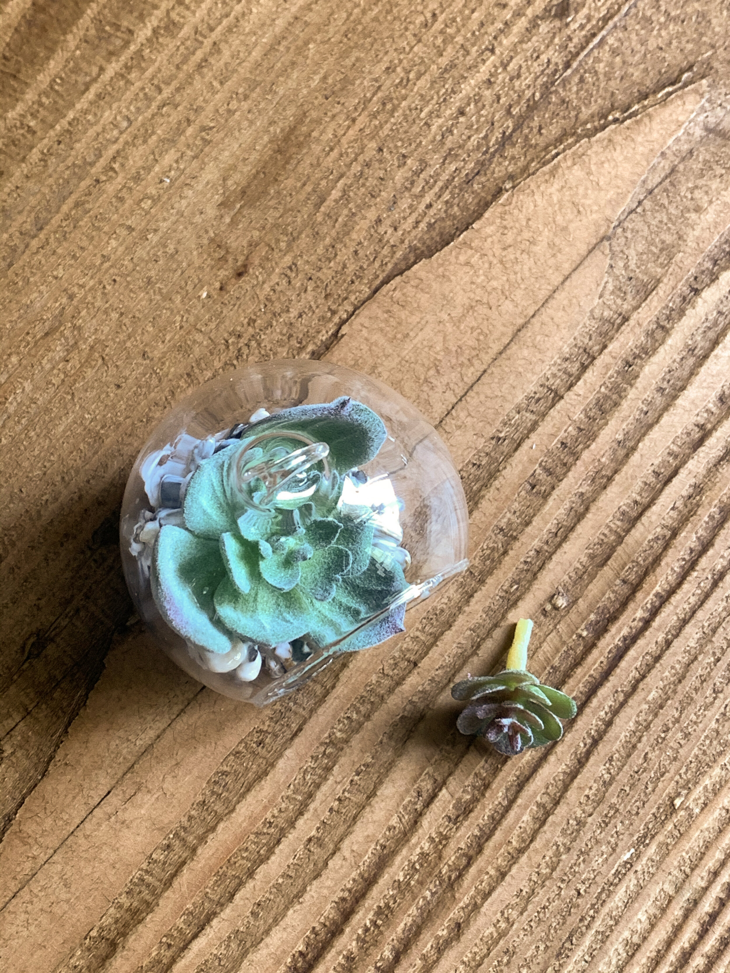 mini_faux_succulent_terrarium_-18.jpg