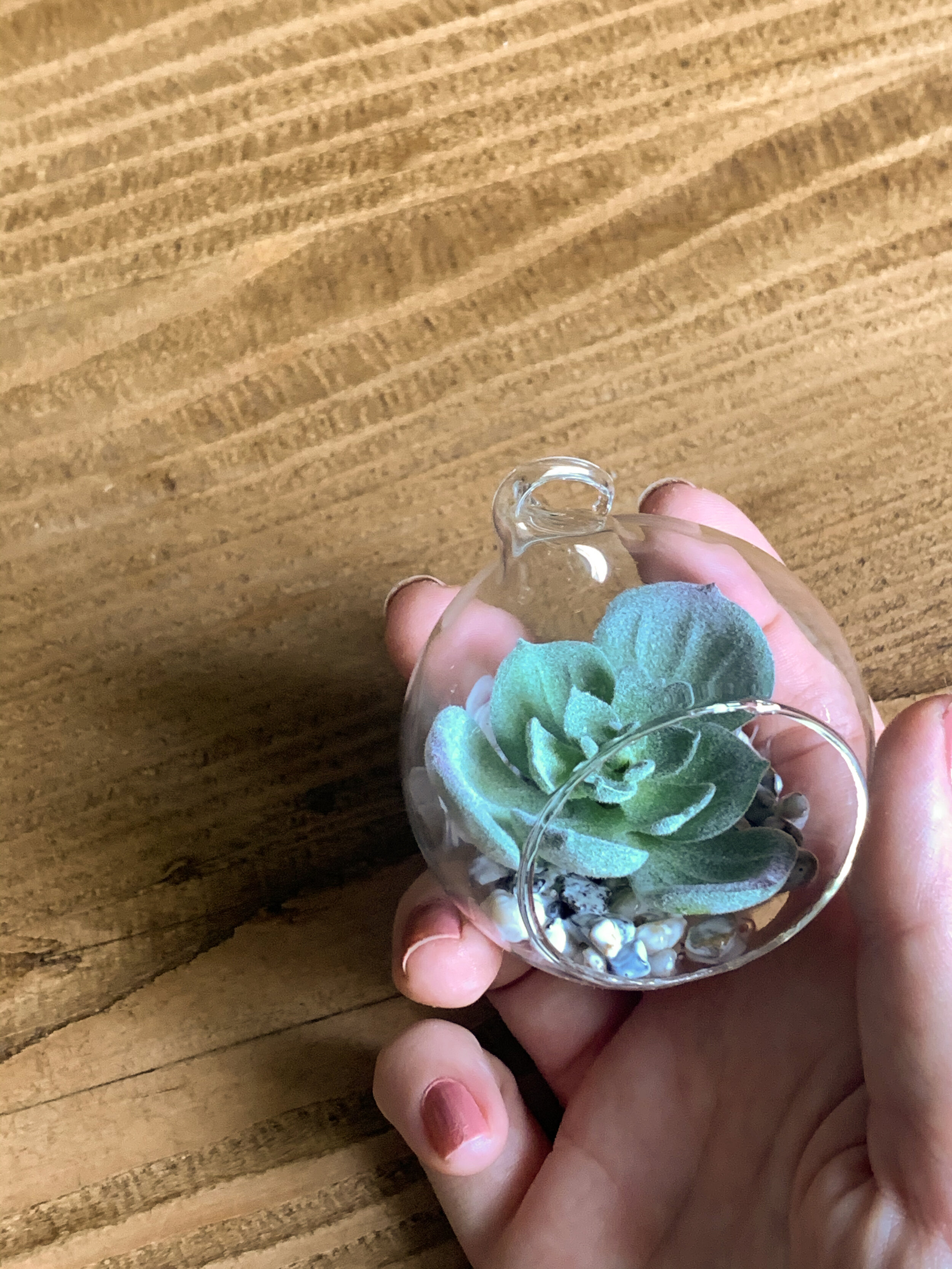 mini_faux_succulent_terrarium_-17.jpg