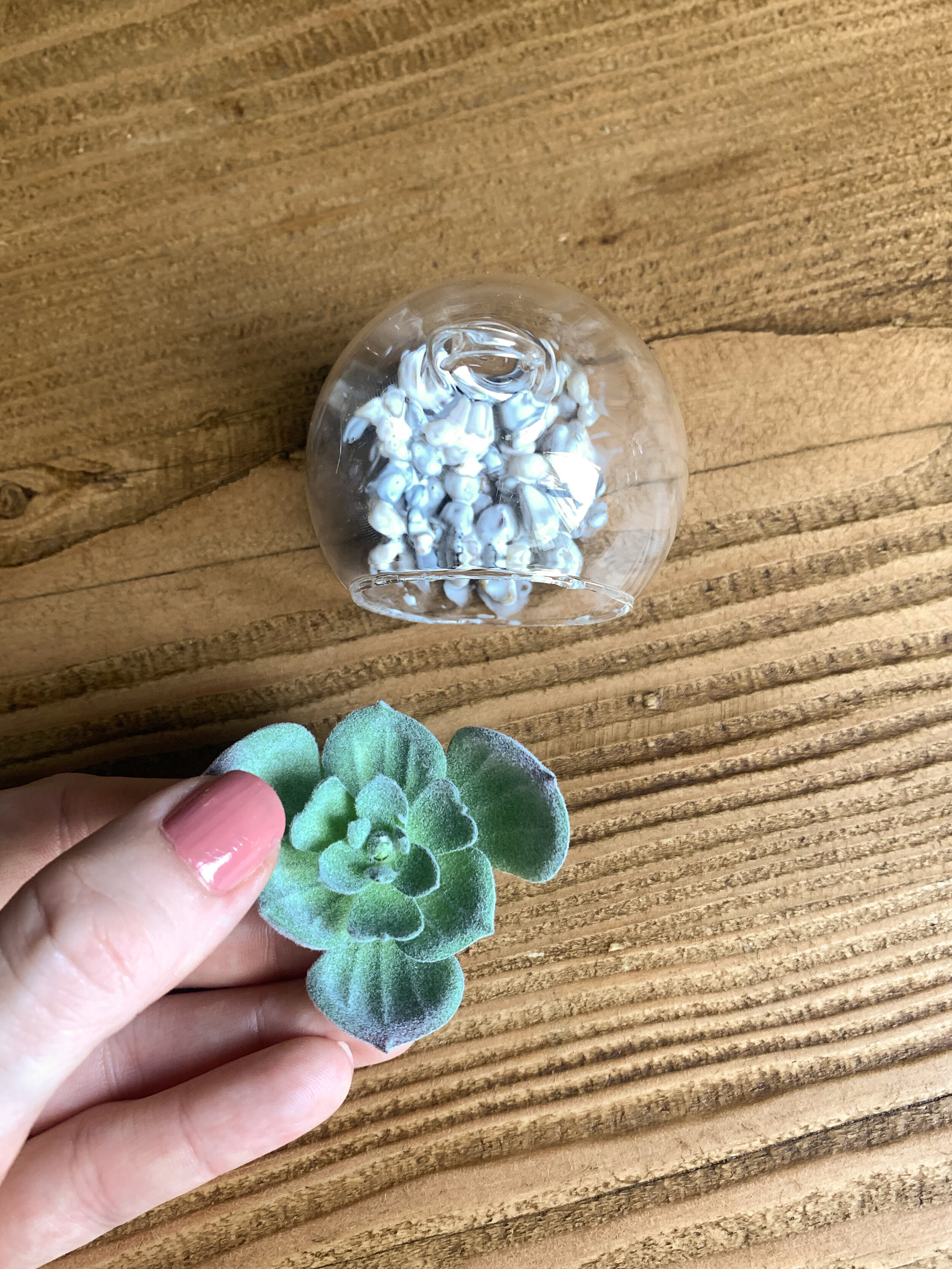 mini_faux_succulent_terrarium_-14.jpg