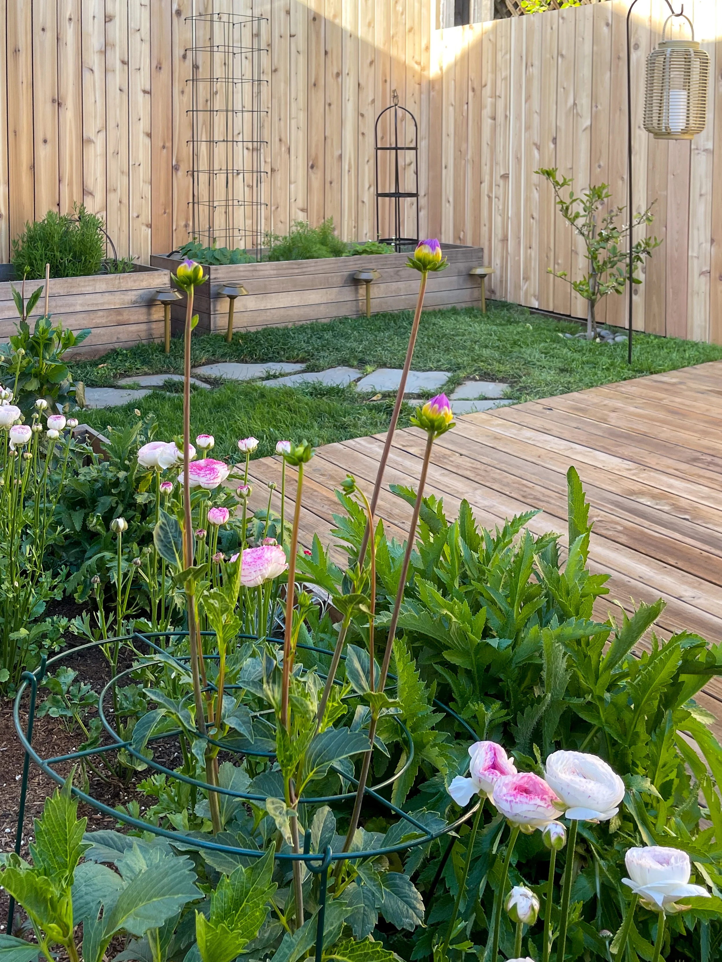 One Room Challenge: A New Fence and a Garden Path