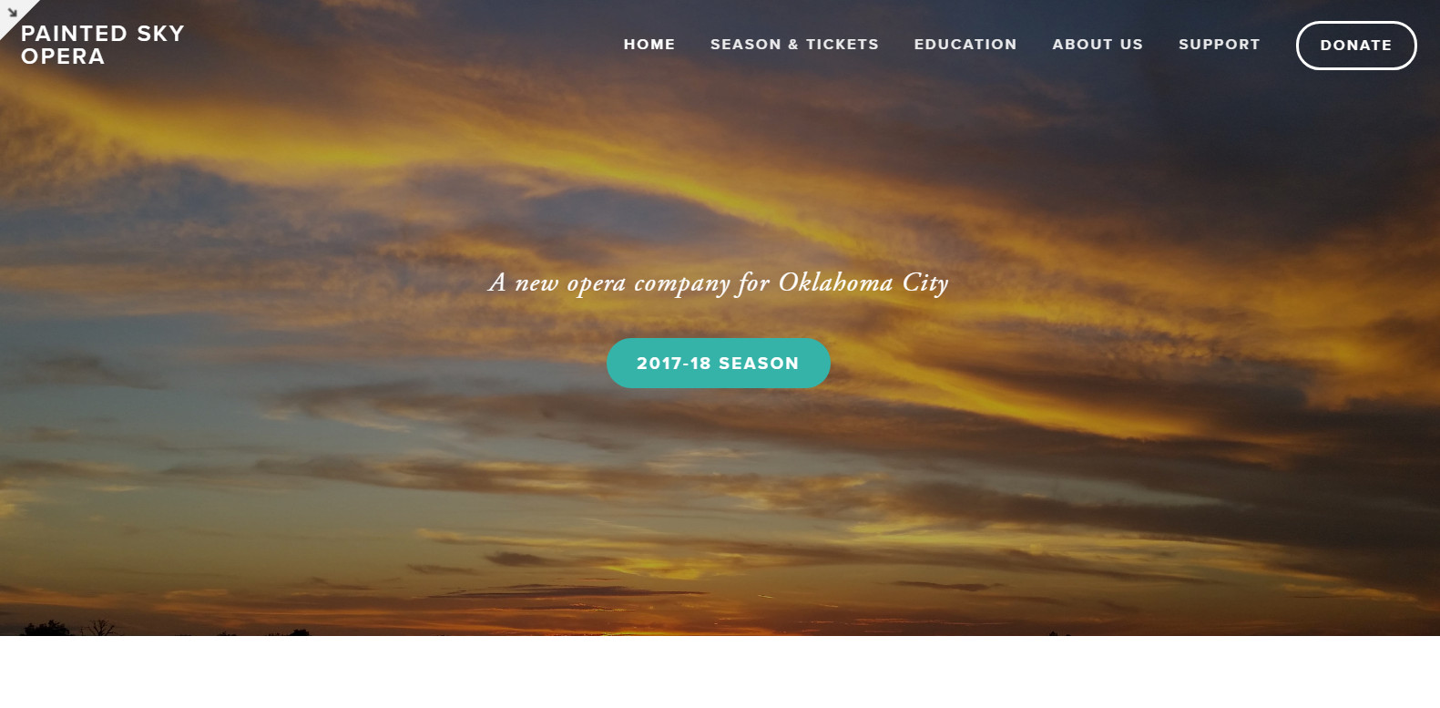 PSOWebsite.jpg
