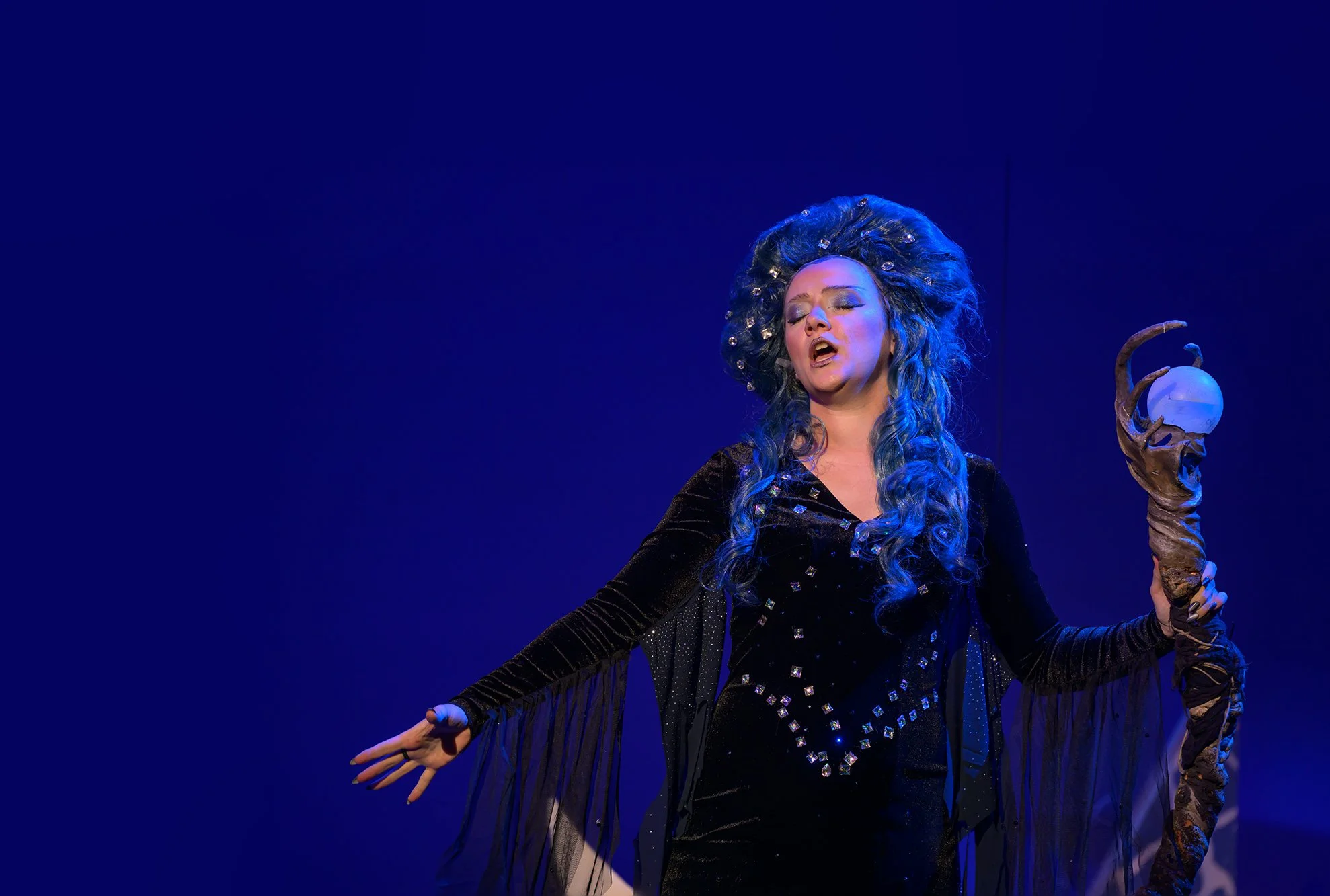 Flute website cover.jpg