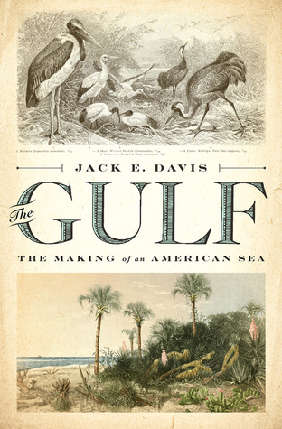 The Gulf: The Making of an American Sea