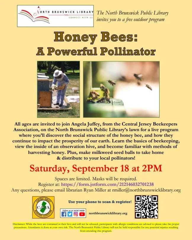 Honey Bees: A Powerful Pollinator!