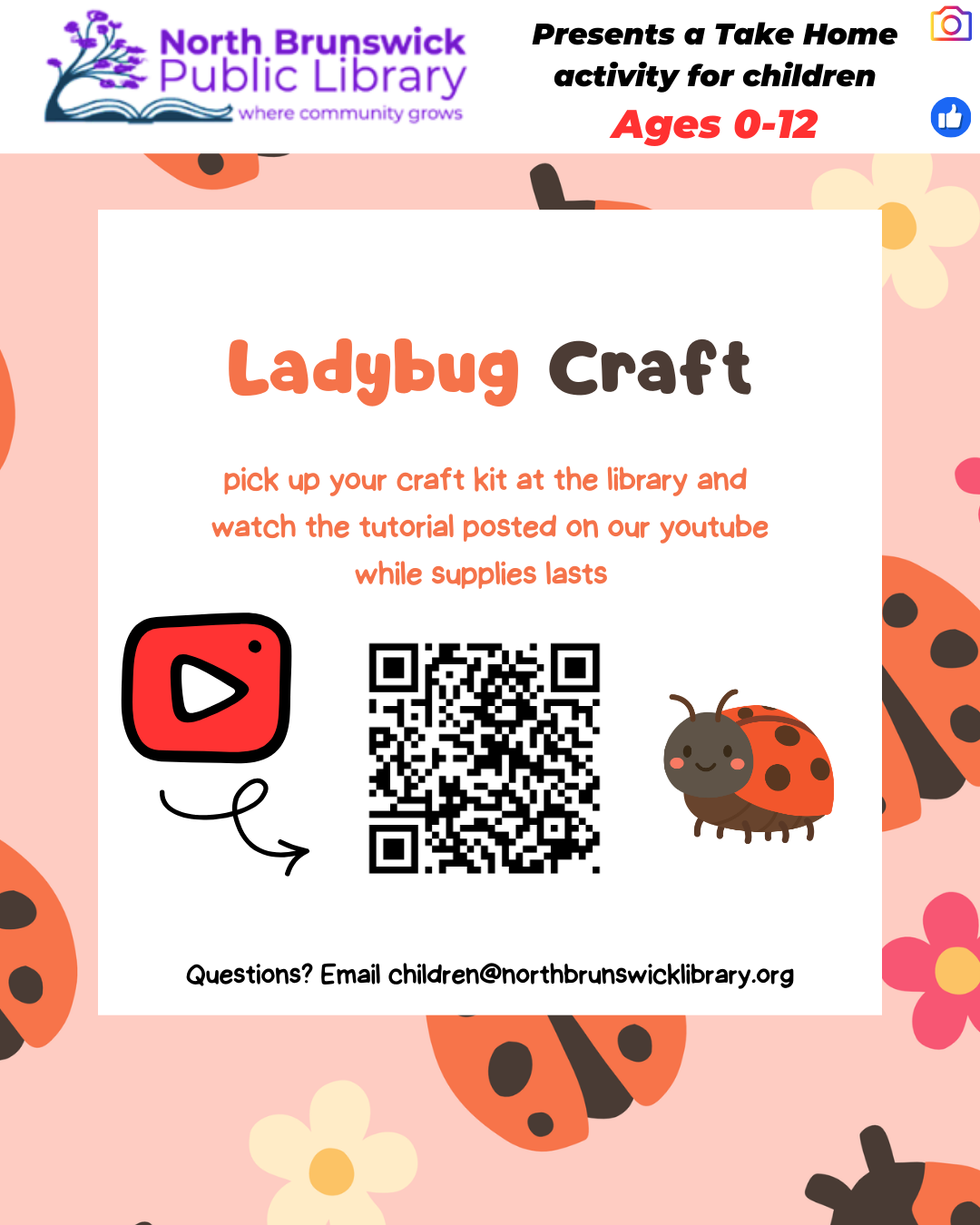 Ladybug Craft