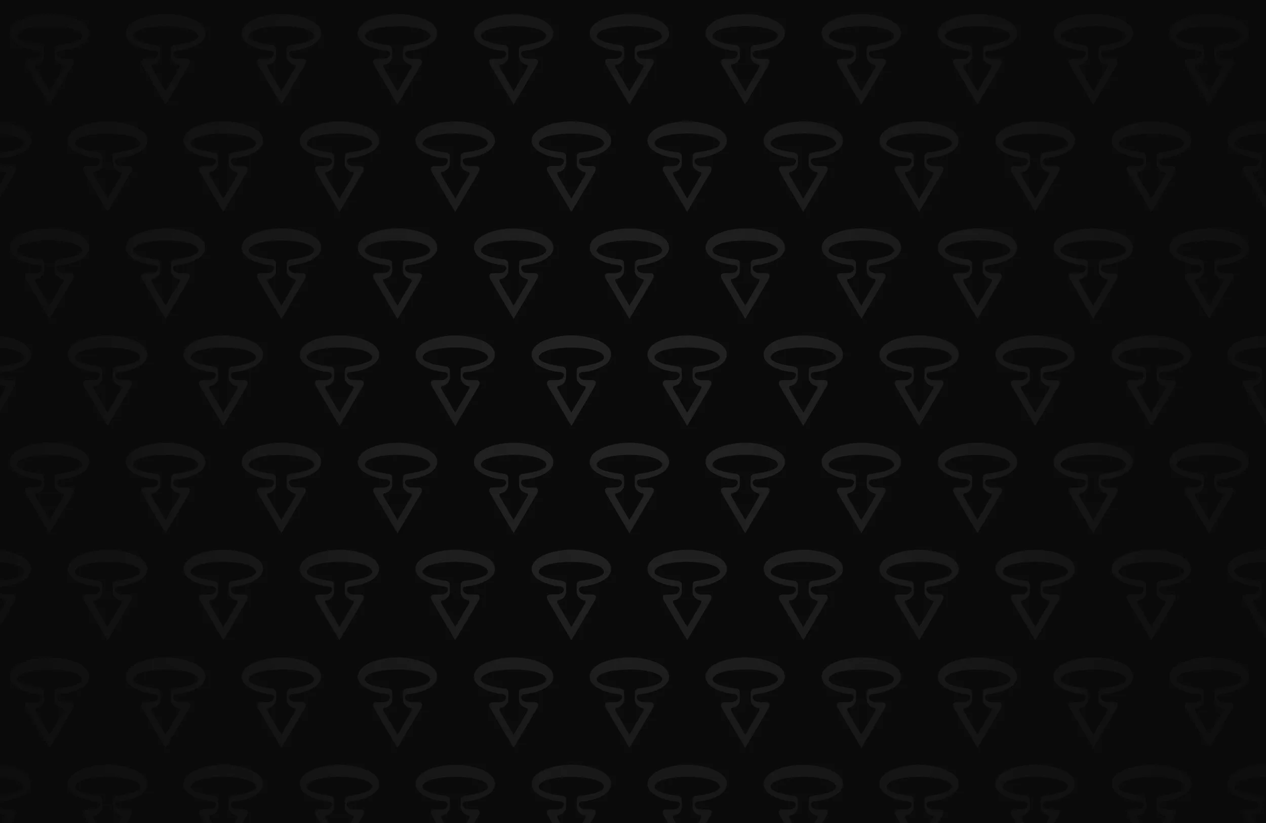 Rapsody_homepage_pattern.jpg