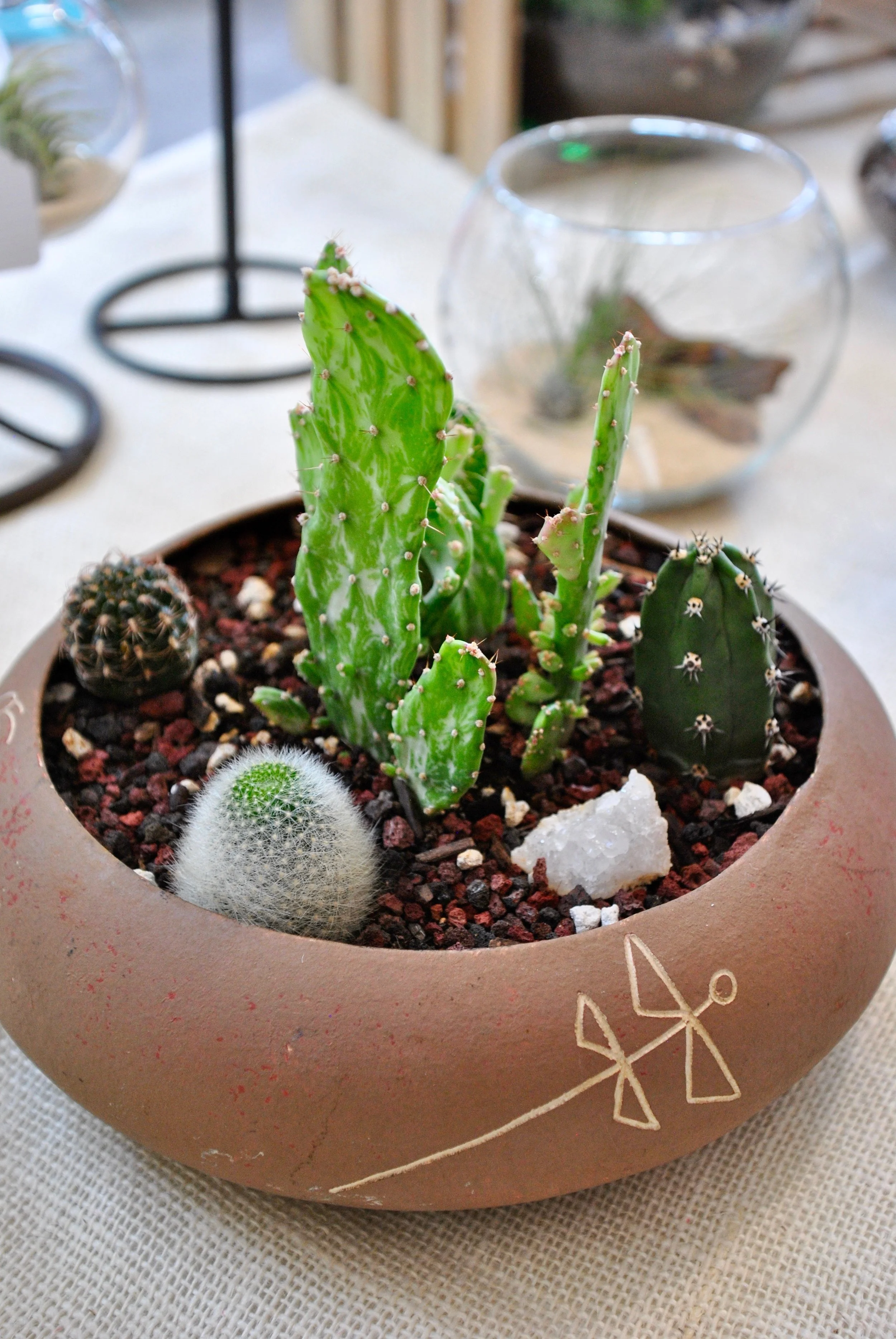 Plants to You
