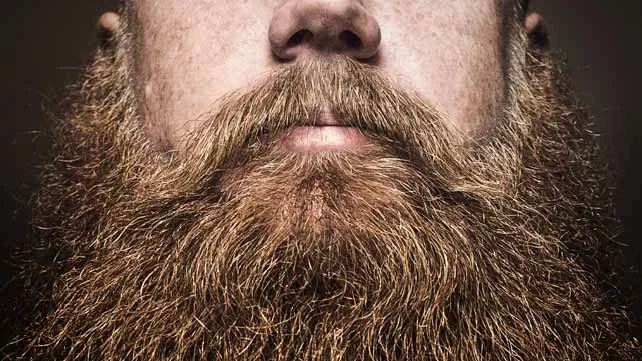 FAITH, WORK, AND BEARDS