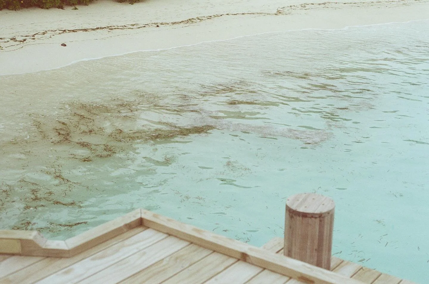 mentally here 📍film shots all taken by my honey on our honeymoon in the Maldives. I can picture walking on these very docks, shores, feet in the sand and our sweet baby in my belly. I found out I was pregnant a week before we were leaving for our we