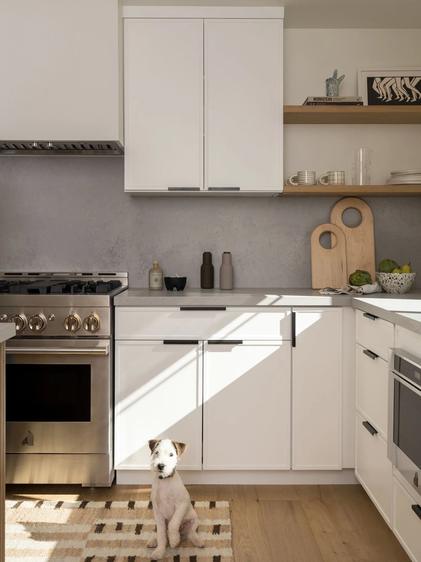 This one&rsquo;s for the dogs&hellip;. Yup, those fur babies of ours we all love and adore, that run our households, drive us crazy, and fill our days with soooo much love. These little members of our families sure do leave a mark (quite literally) o