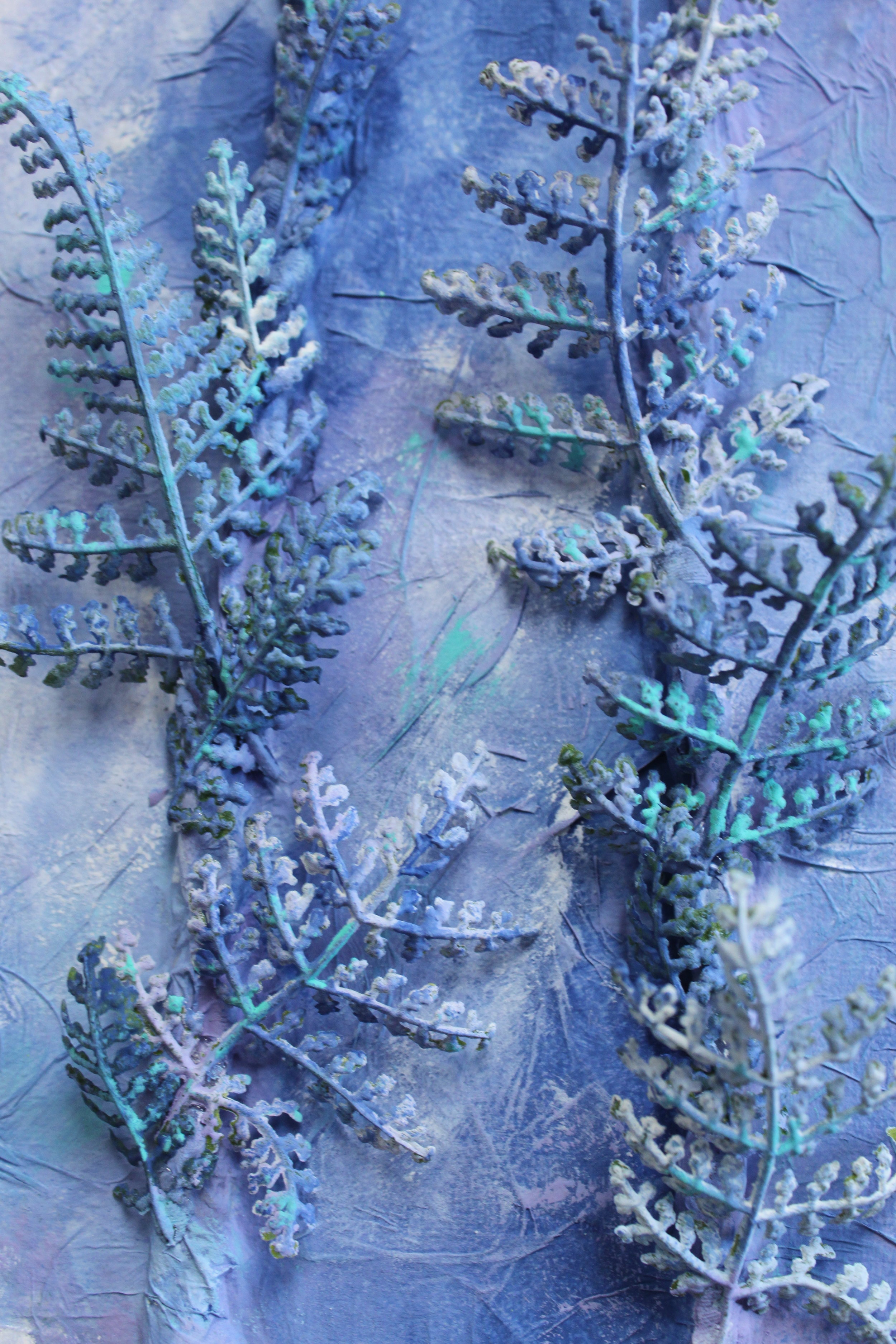 Frost - close up3.JPG