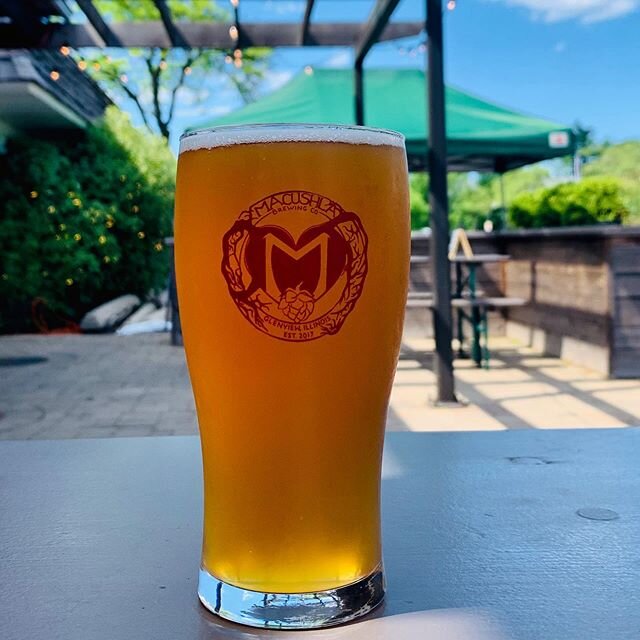 Holla~peño IPA now on tap !! Made with fresh jalapeños, this unique IPA provides just a bit of refreshing kick ... 6.5% #macushlabeer