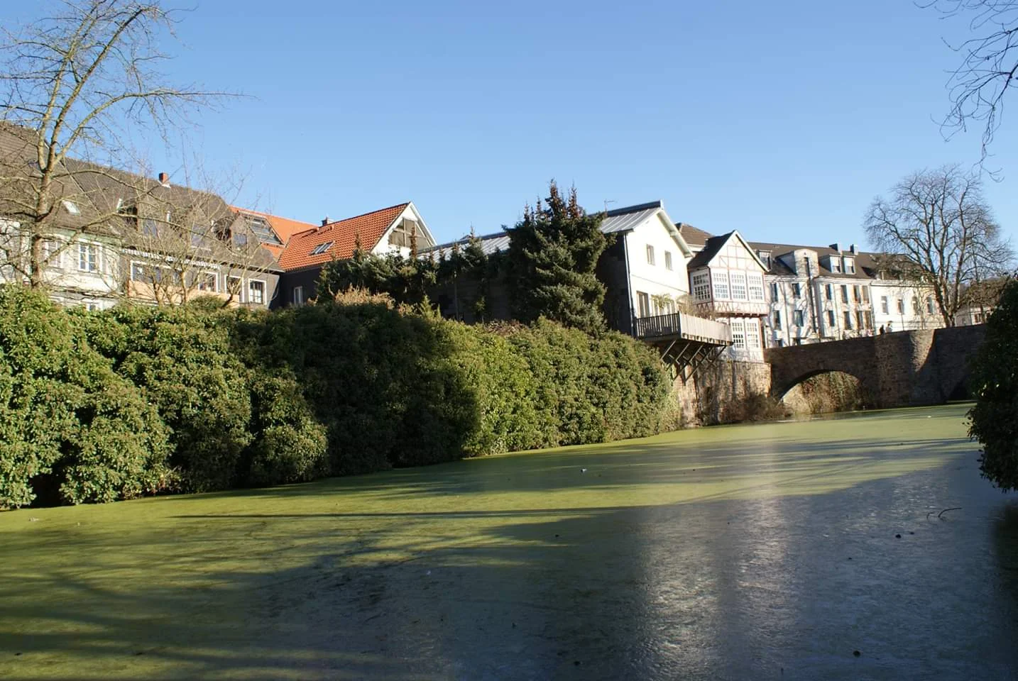 River in Kittwig, Germany Photo provided by Patrick Salerno ‘21