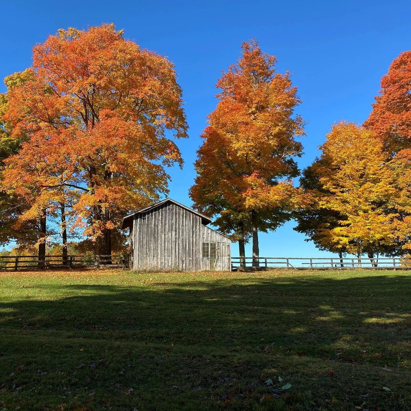 Morning walk ... Thank you mother nature #upstateny #2020