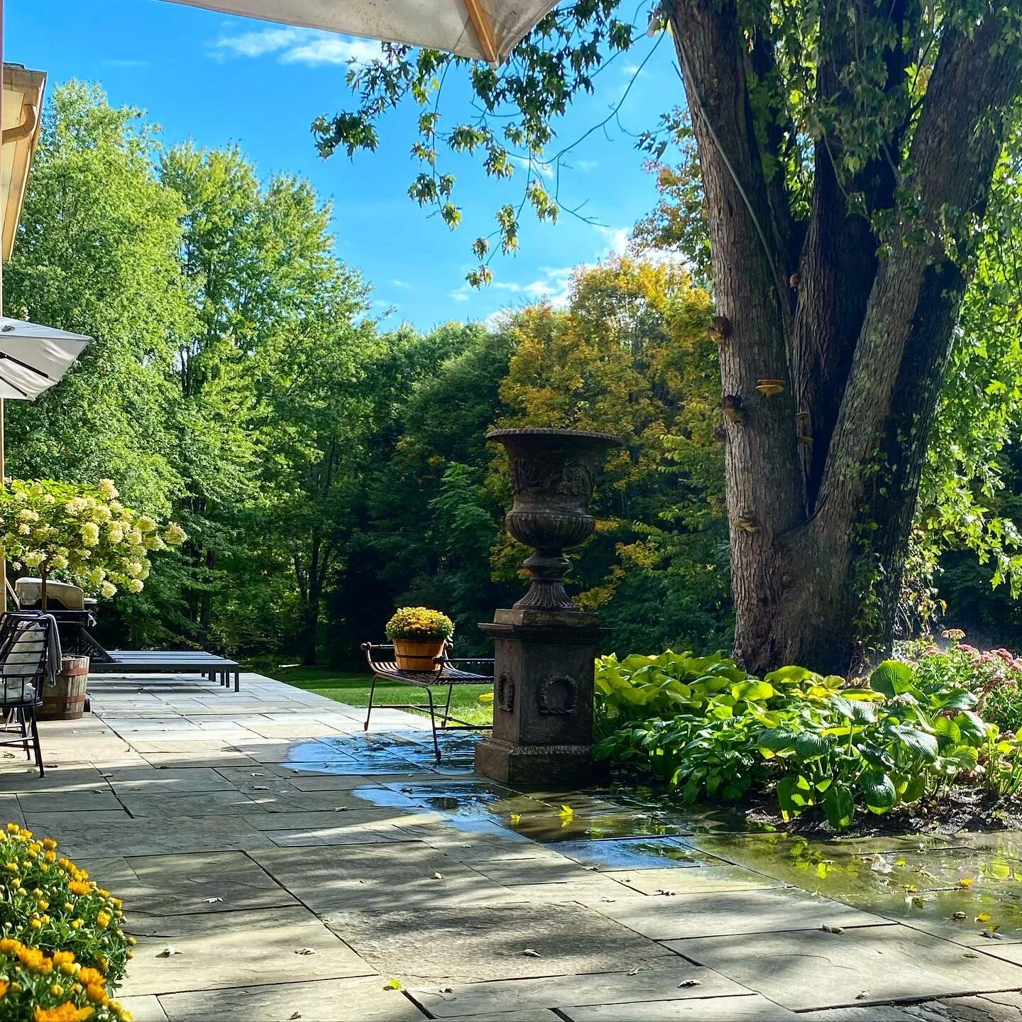 Indian summer afternoon 🍁#upstateny #2020