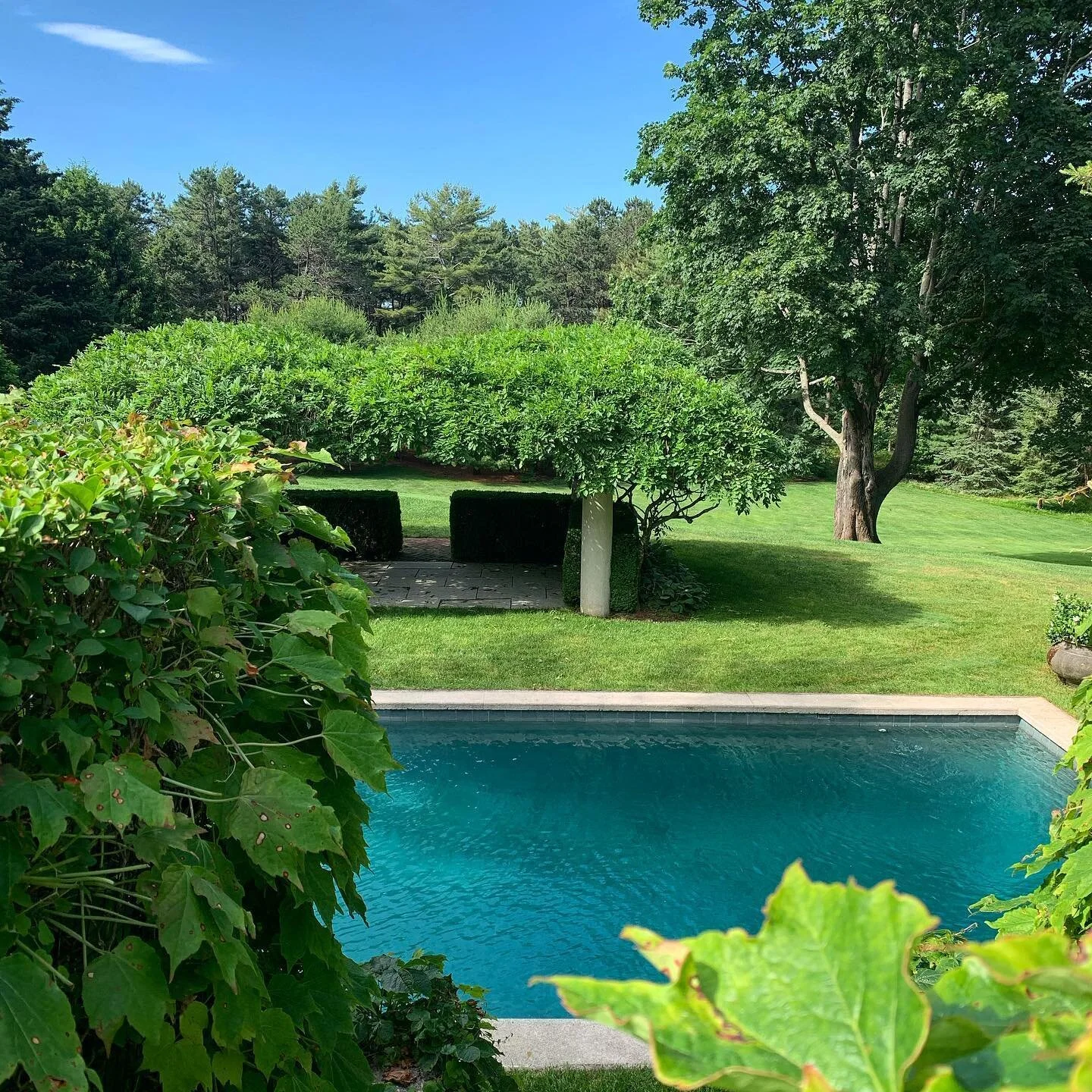 Wisteria loge.... taking a different vantage point to plot this slice of heaven 💚 #2020