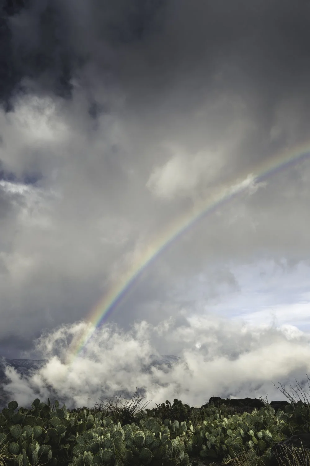 45x30_Sunset Point Rainbow.jpg