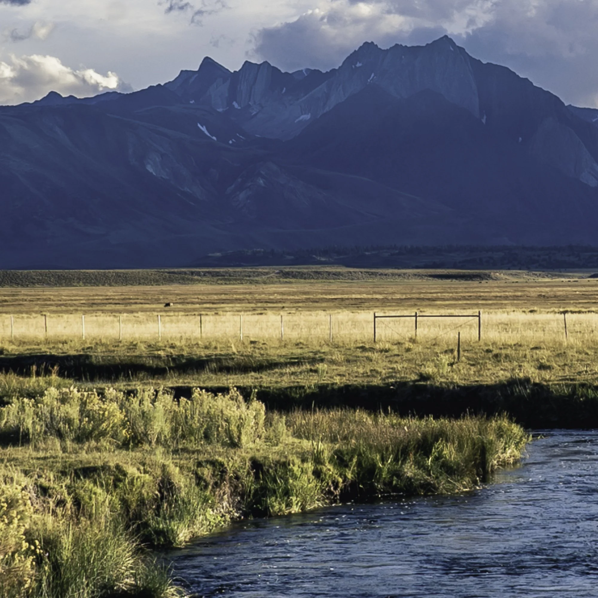 45x30_Owens River.jpg