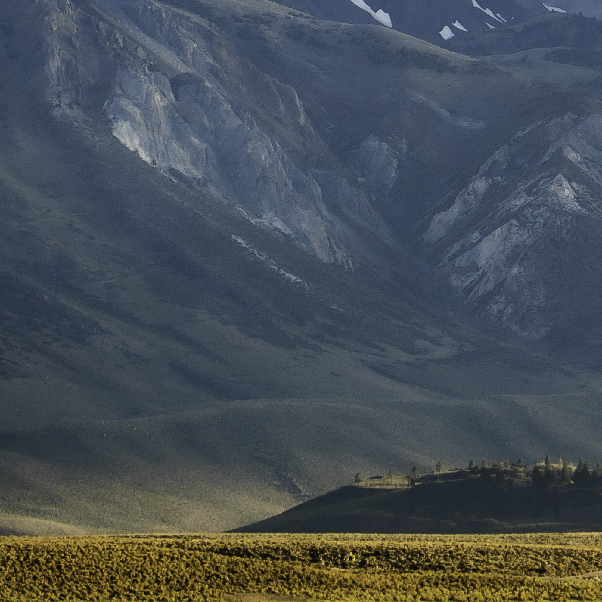 45x30_Northern CA_2.jpg