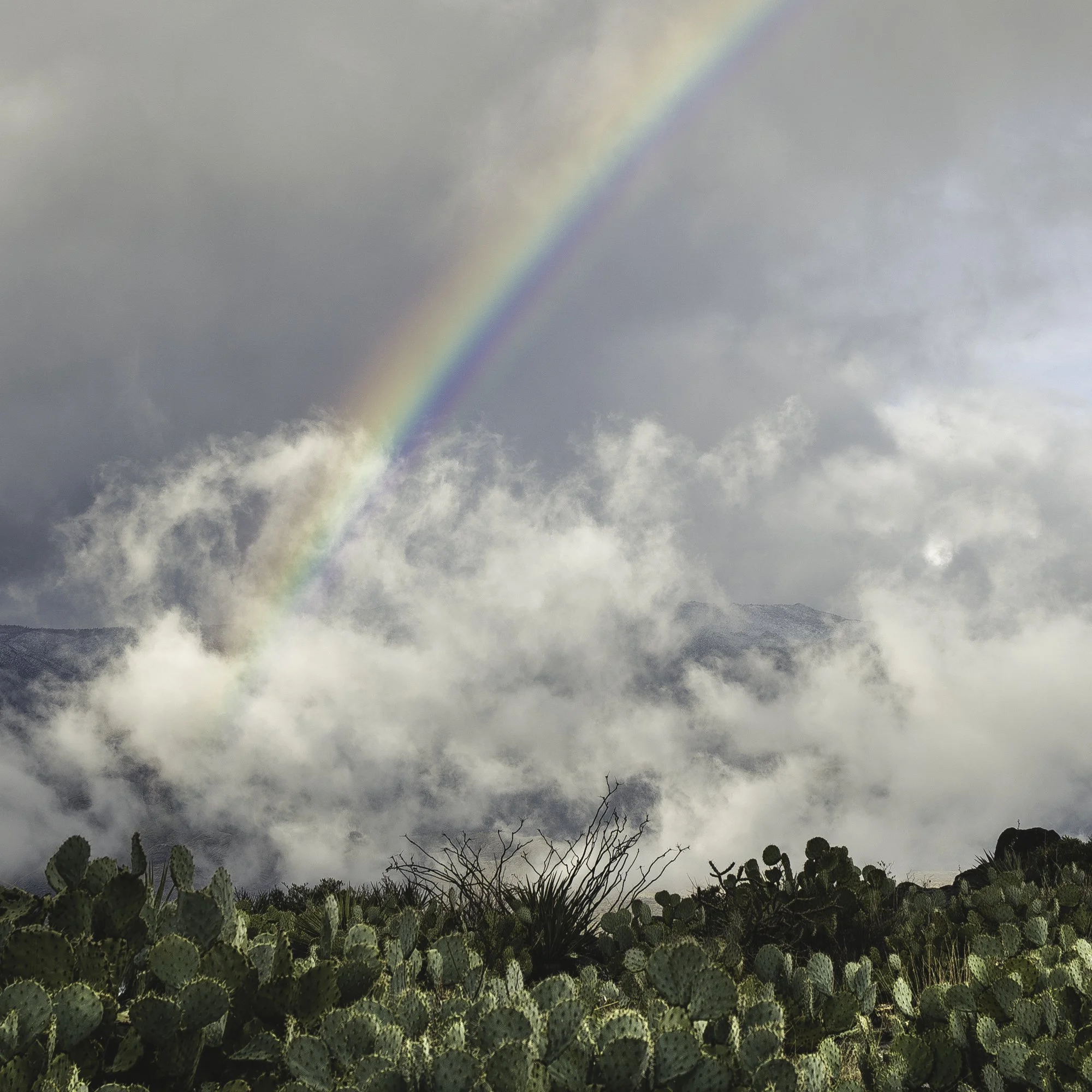 45x30_Sunset Point Rainbow-2.jpg