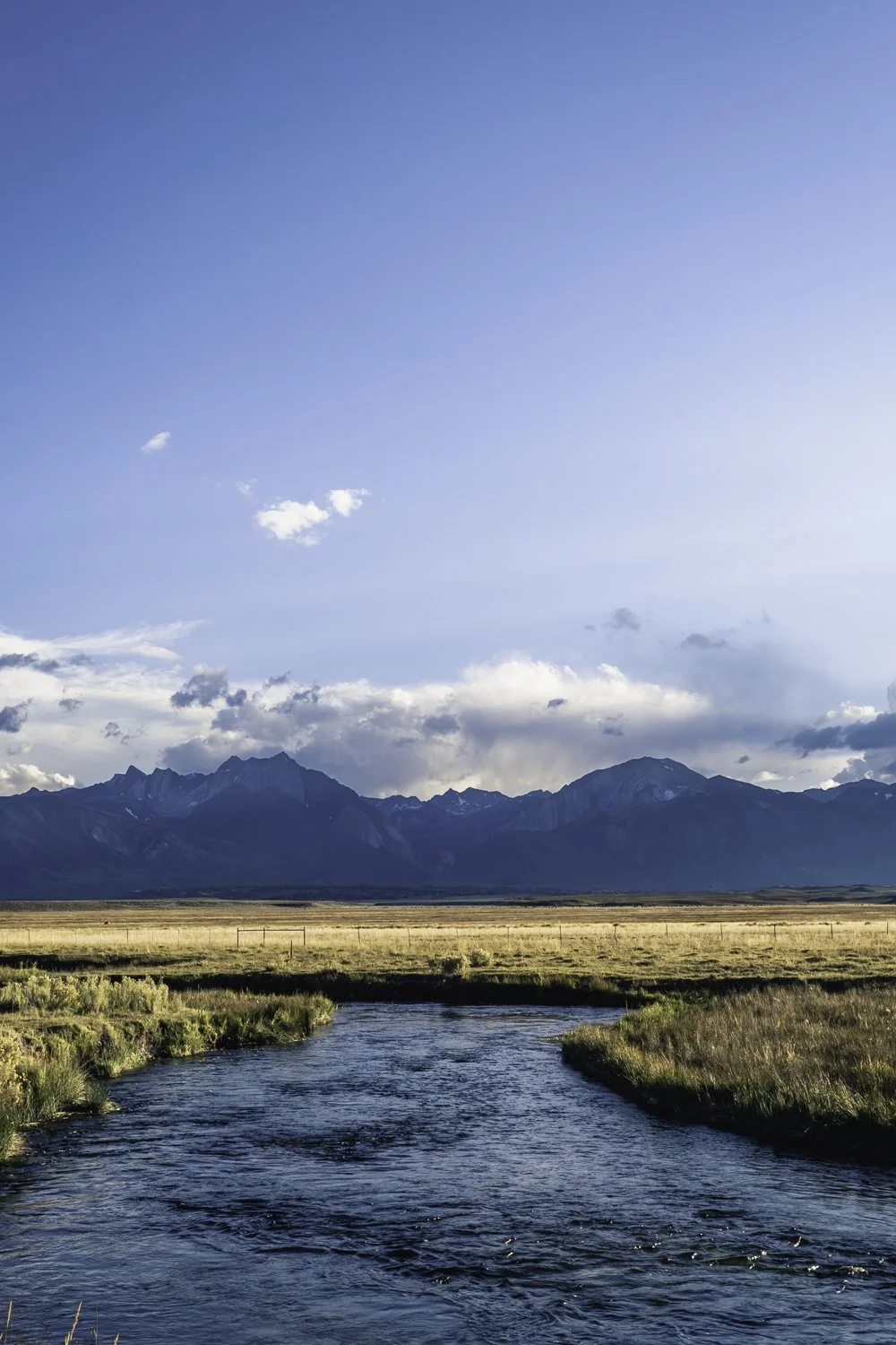 45x30_Owens River.jpg
