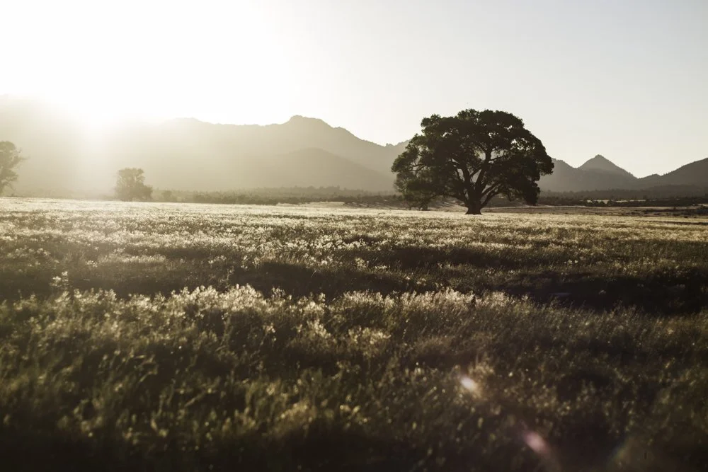 45x30_Skul Valley.jpg