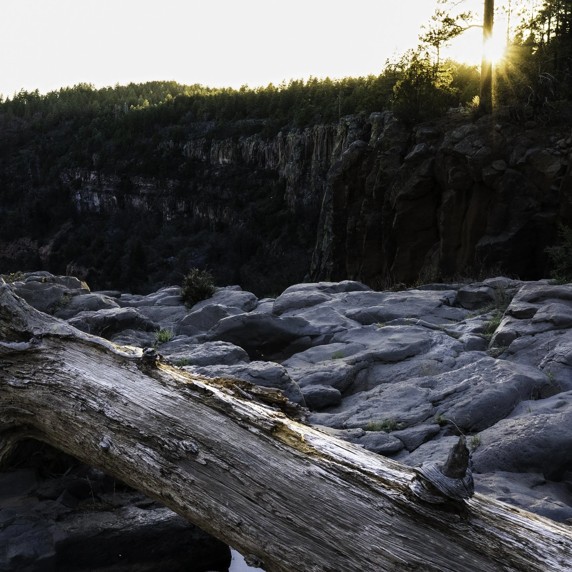 45x30_Strawberry AZ-2.jpg