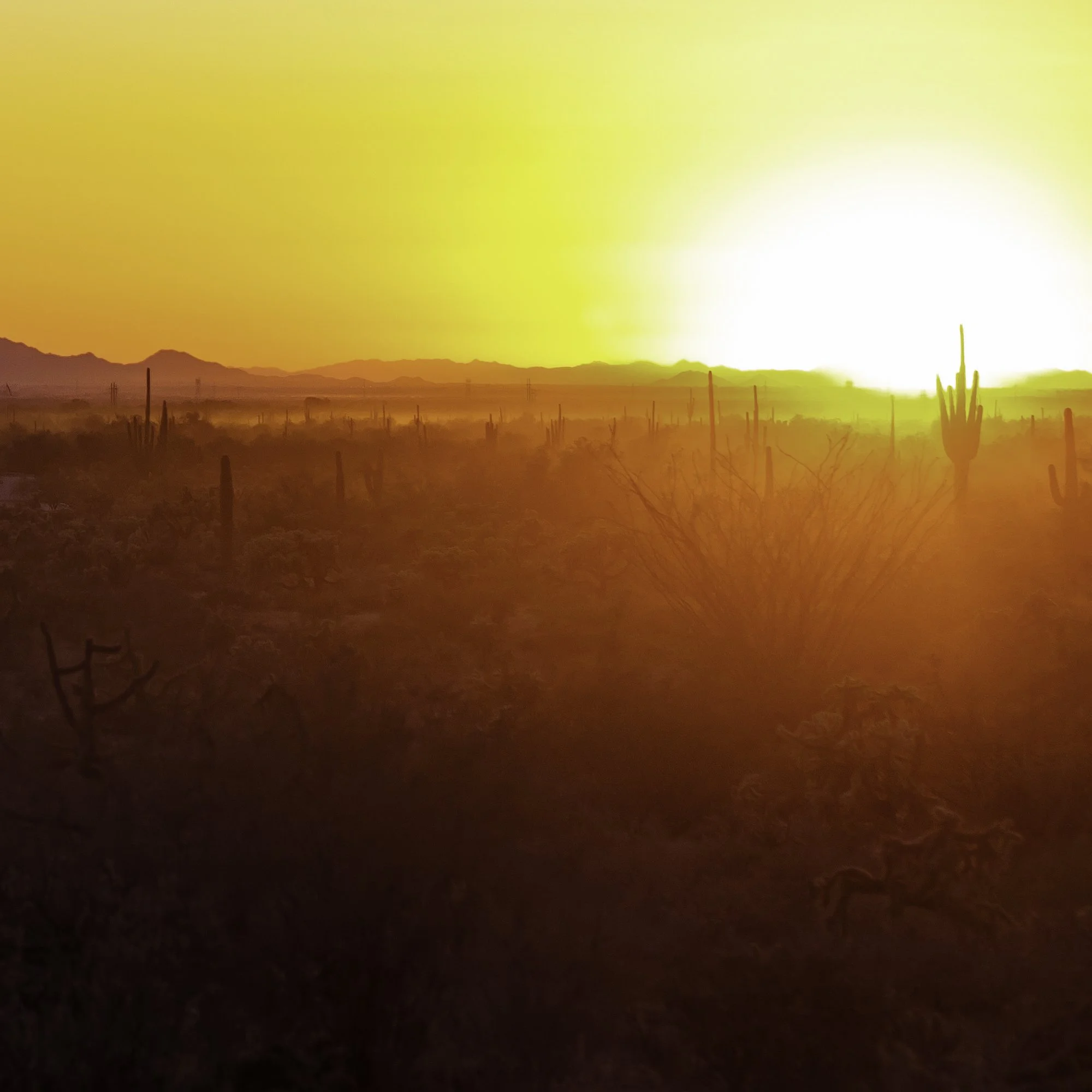 45x30_Superstition Mountians Sunset.jpg