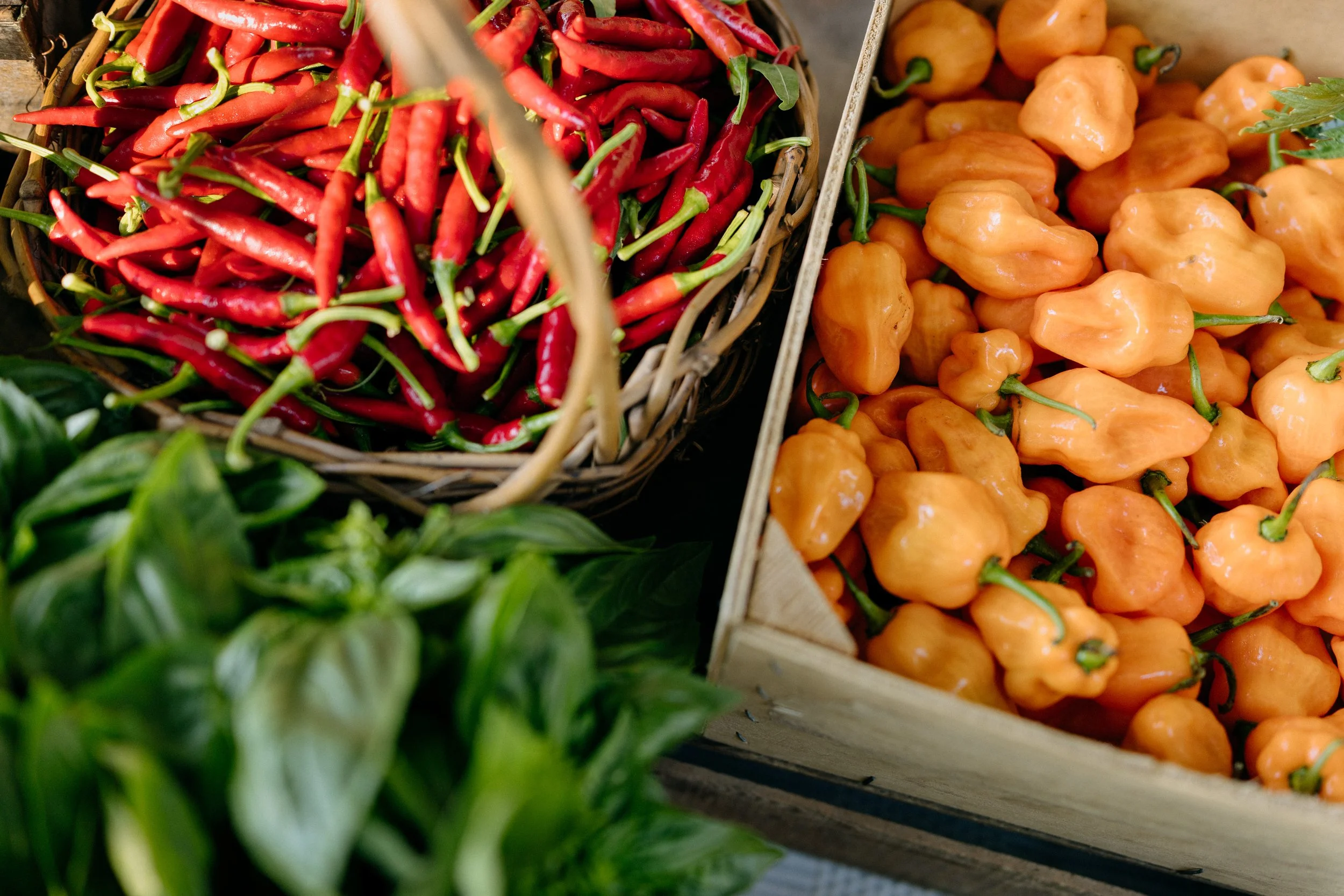 Farmers_market_2025_sheny_leon-214.jpg