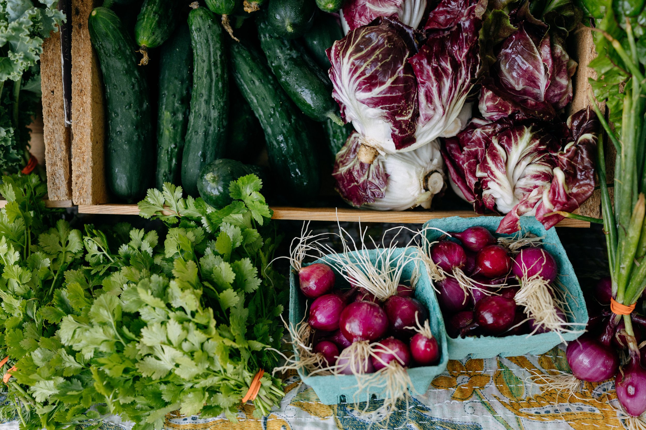 Farmers_market_2025_sheny_leon-87.jpg
