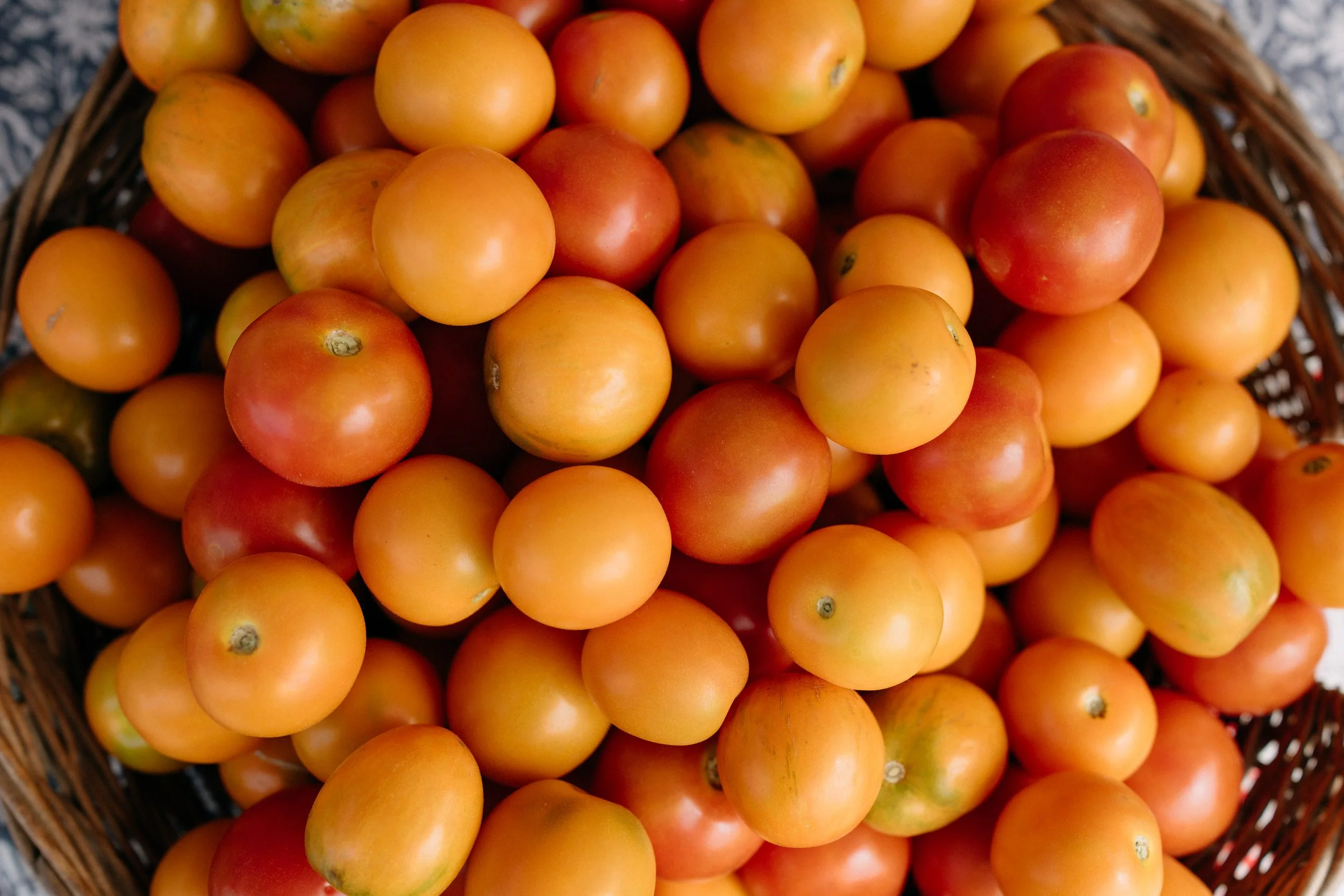 Farmers_market_2025_sheny_leon-205.jpg