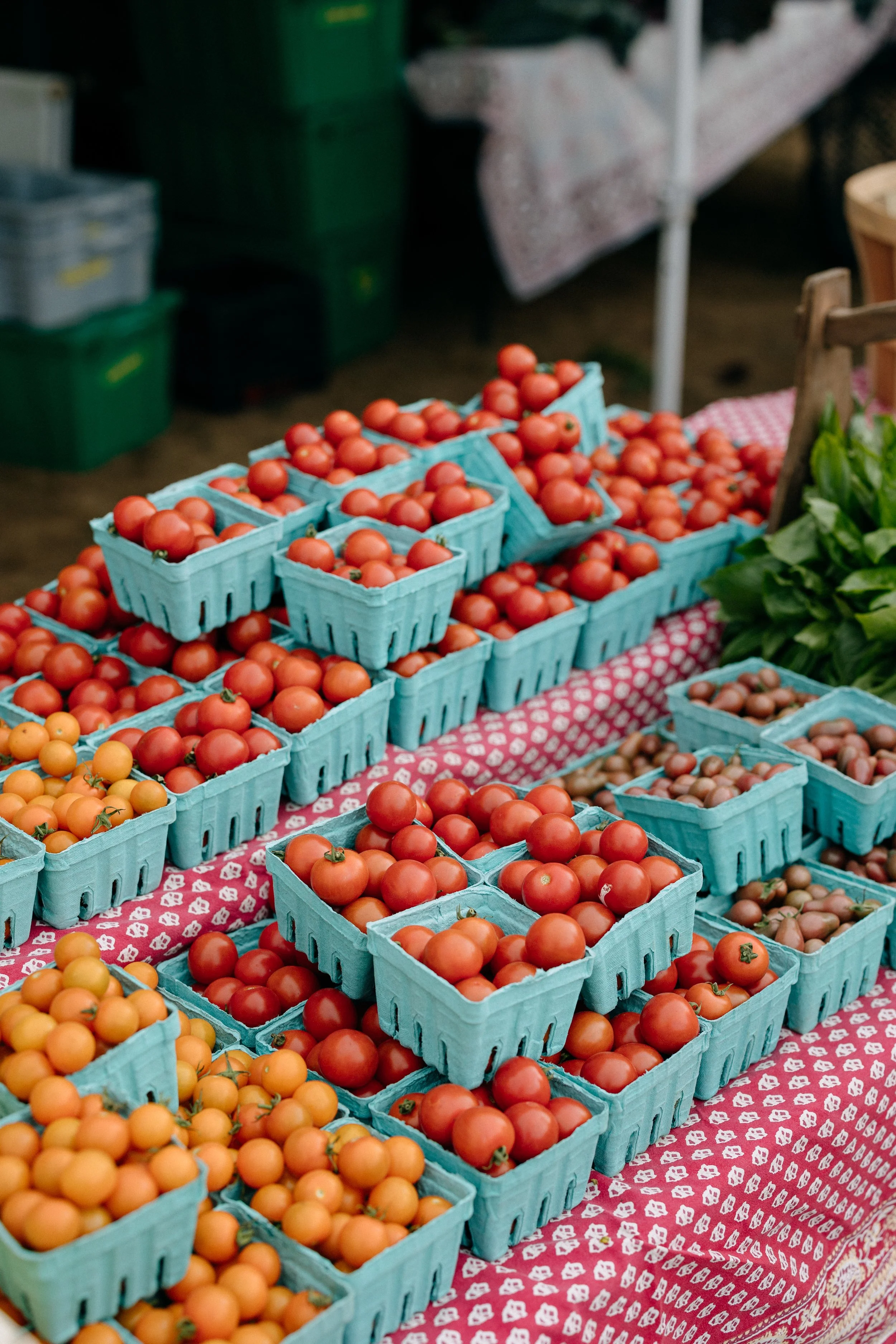 Farmers_market_2025_sheny_leon-151.jpg