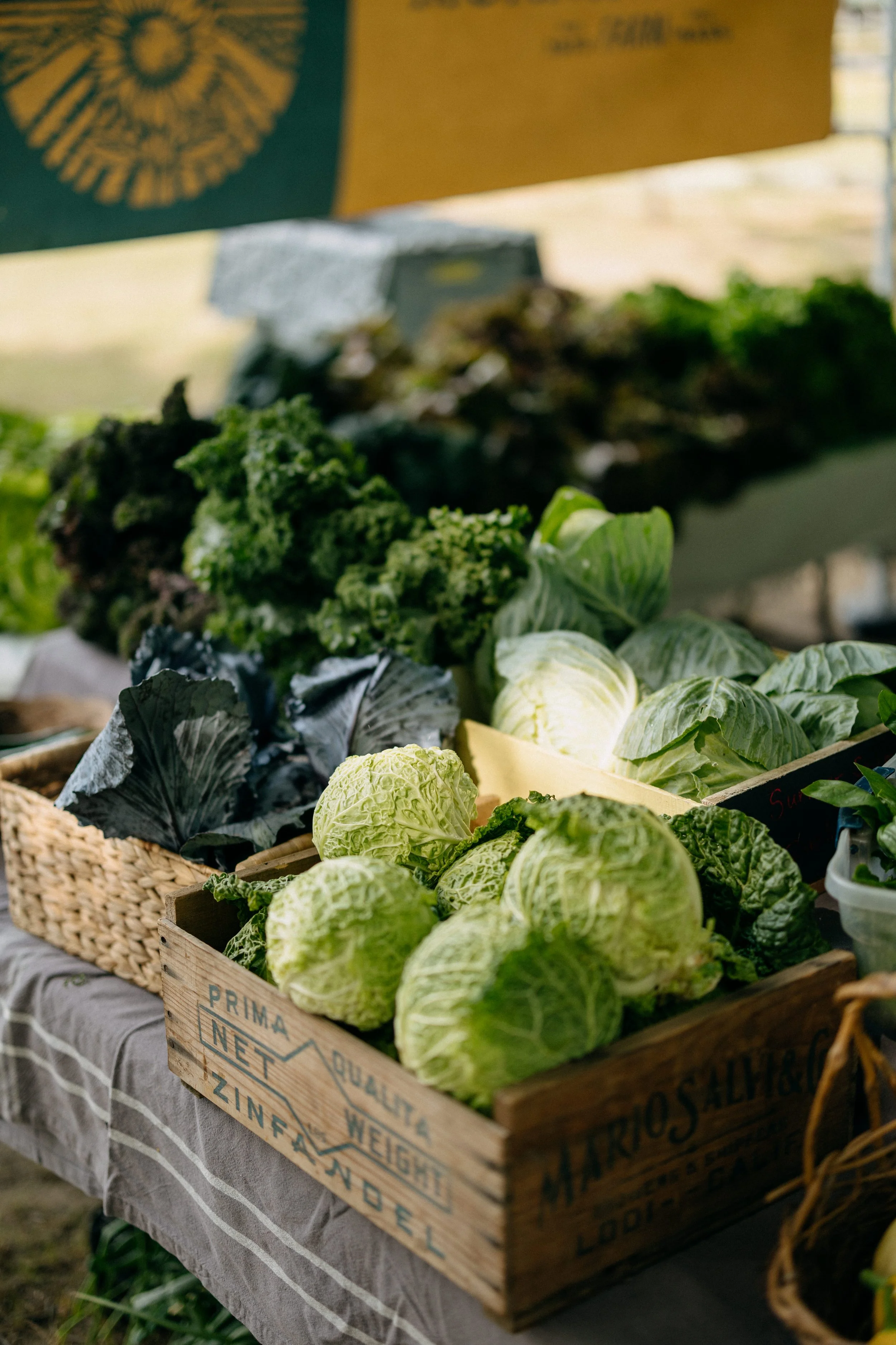 Farmers_market_2025_sheny_leon-120.jpg
