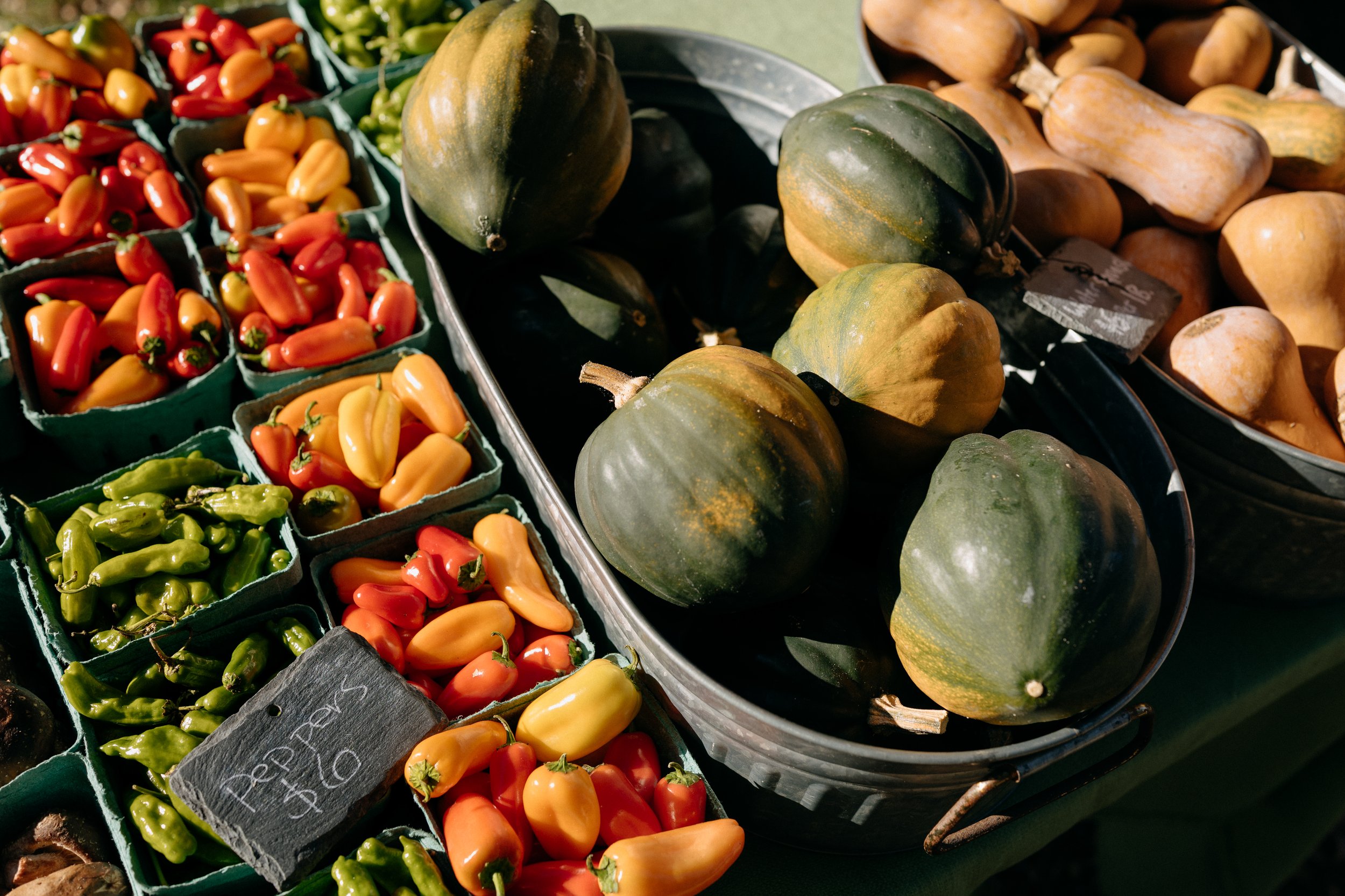 Farmers_market_2025_sheny_leon-289.jpg