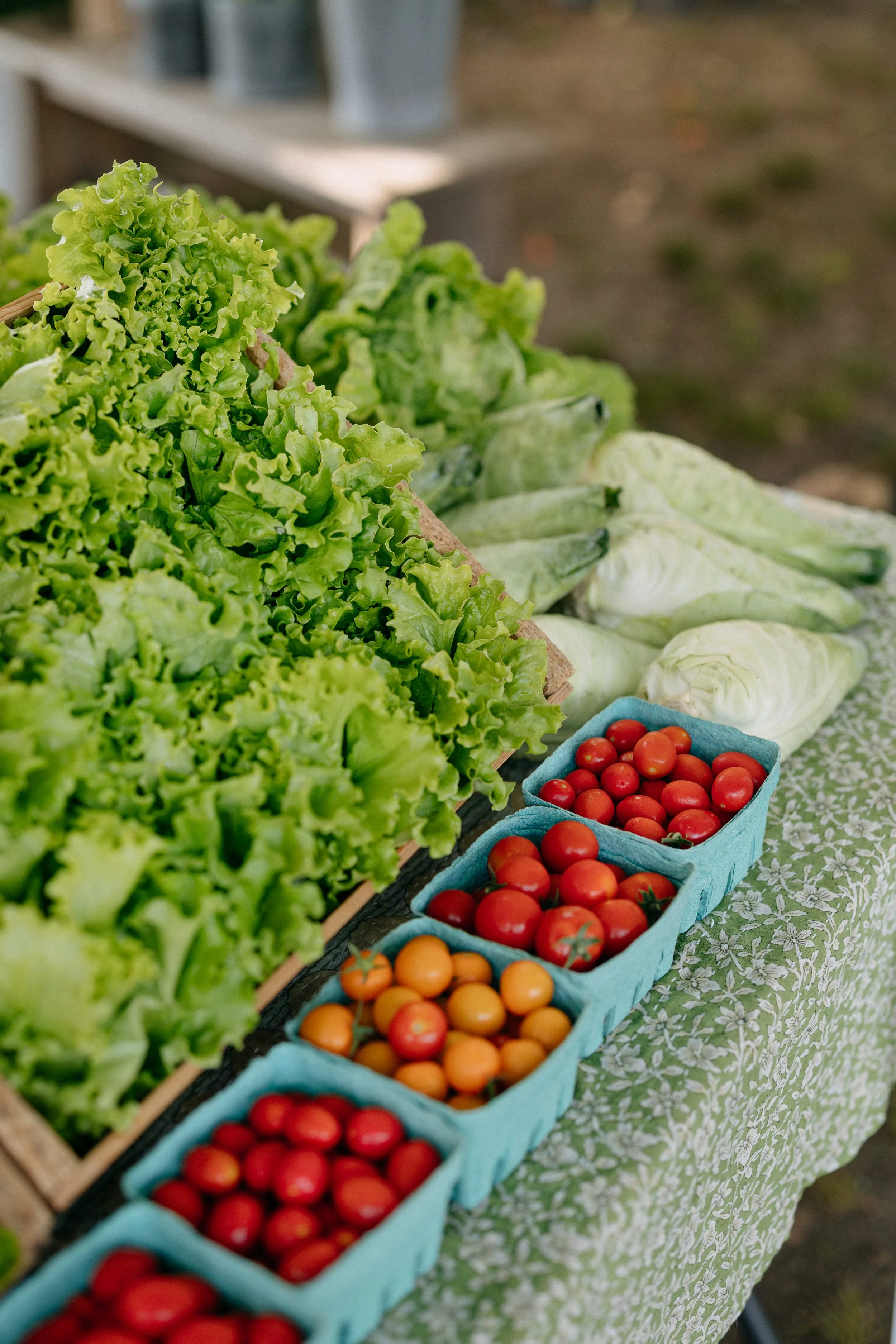 Farmers_market_2025_sheny_leon-88.jpg