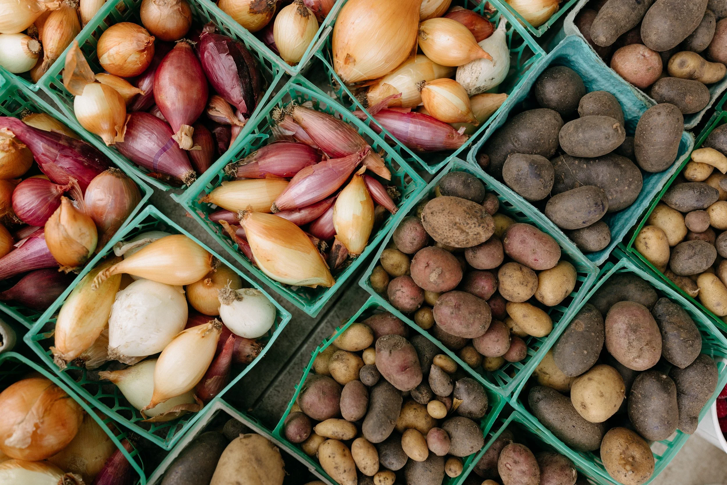 Farmers_market_2025_sheny_leon-184.jpg