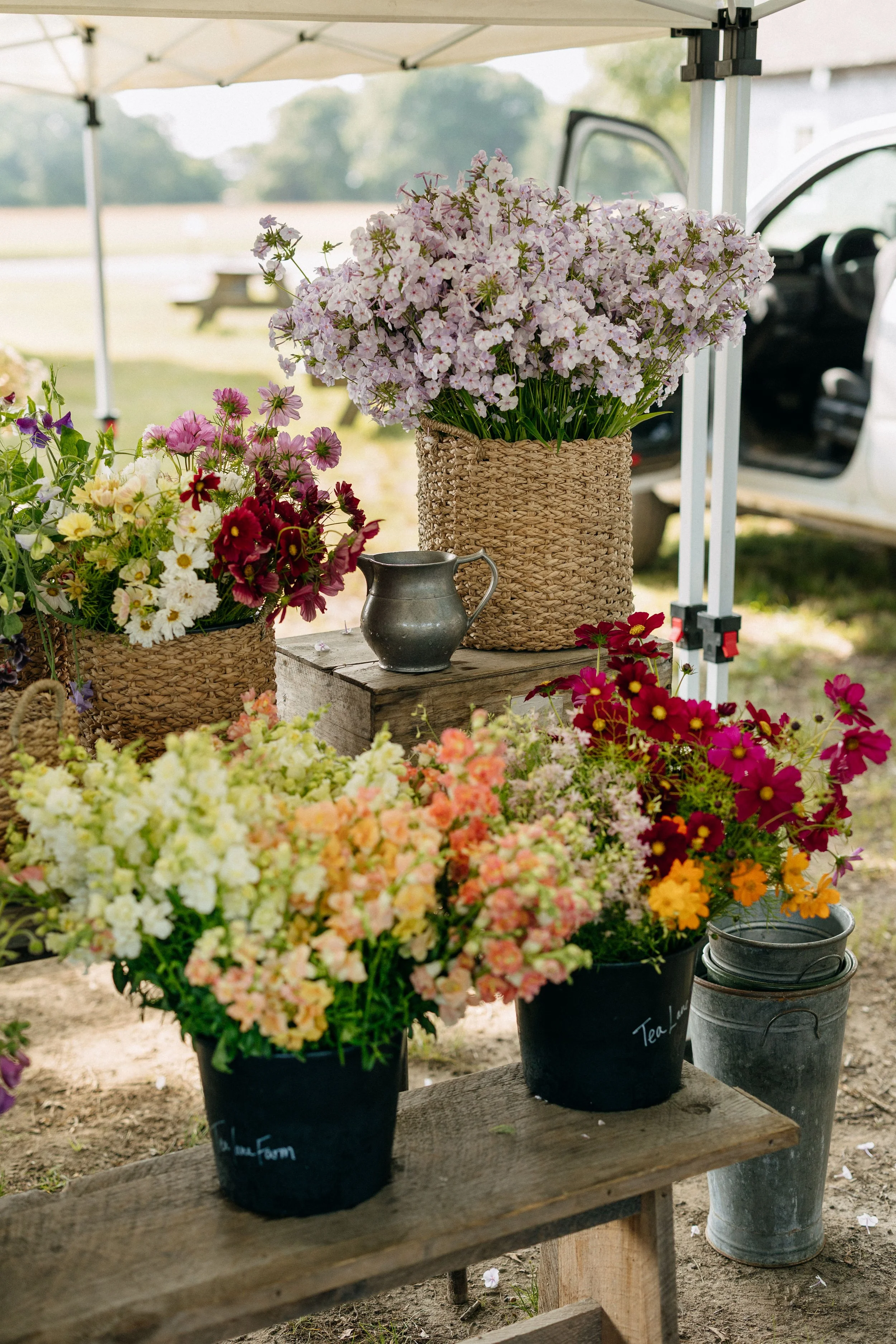 Farmers_market_2025_sheny_leon-70.jpg