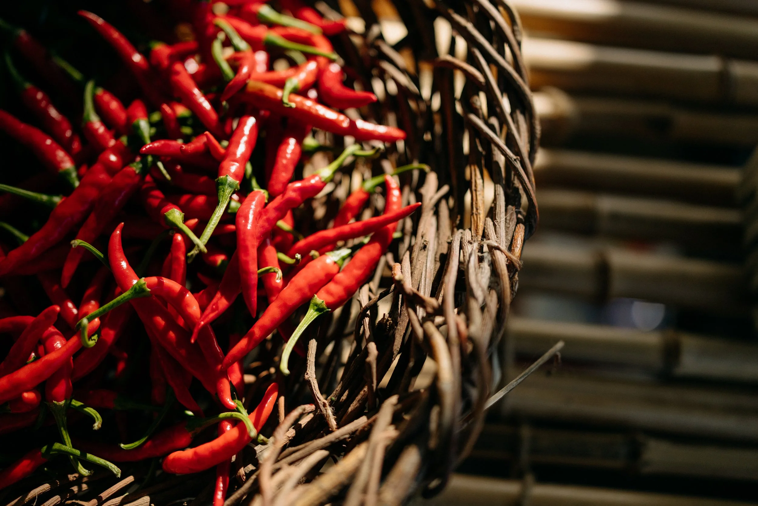 Farmers_market_2025_sheny_leon-221.jpg