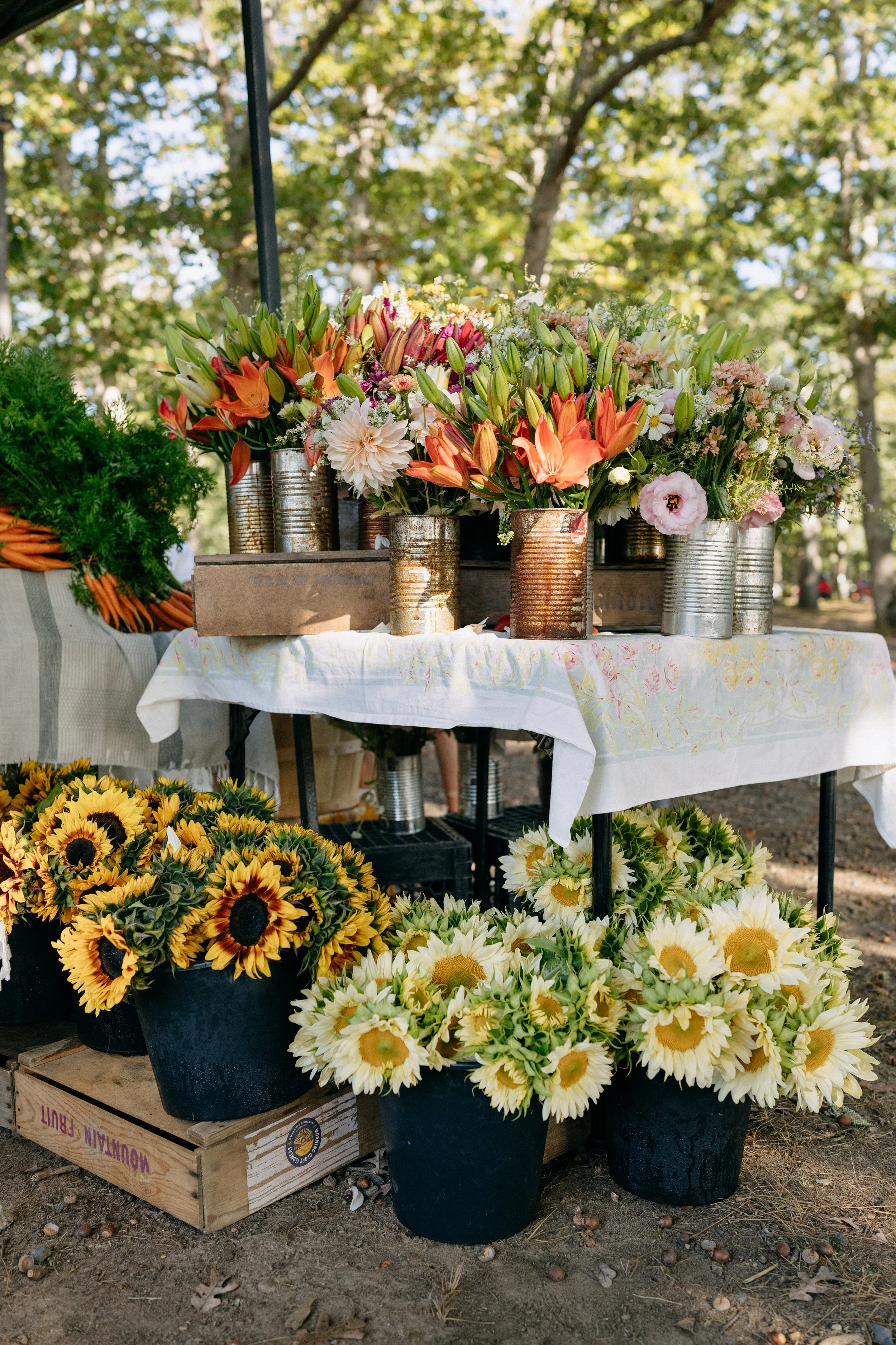 Farmers_market_2025_sheny_leon-213.jpg