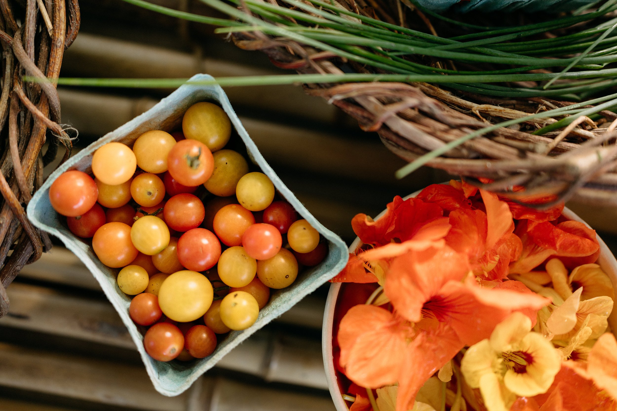 Farmers_market_2025_sheny_leon-222.jpg