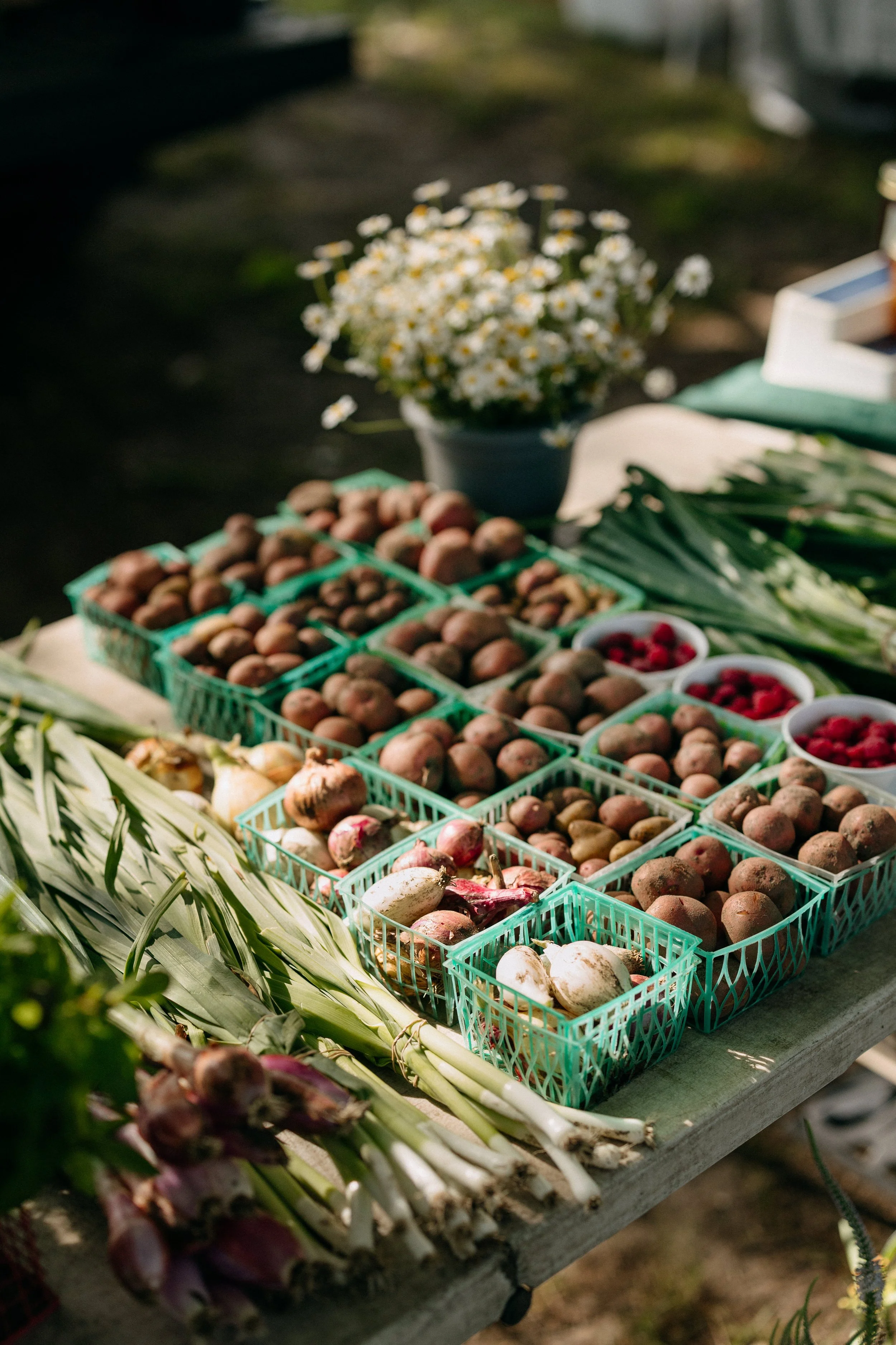 Farmers_market_2025_sheny_leon-72.jpg
